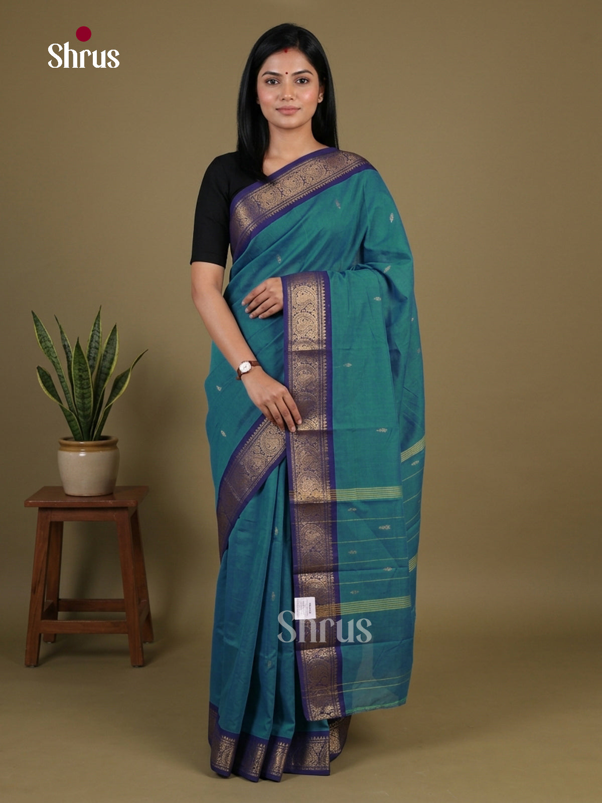 Chettinad Mix Cotton Saree - EGS11086