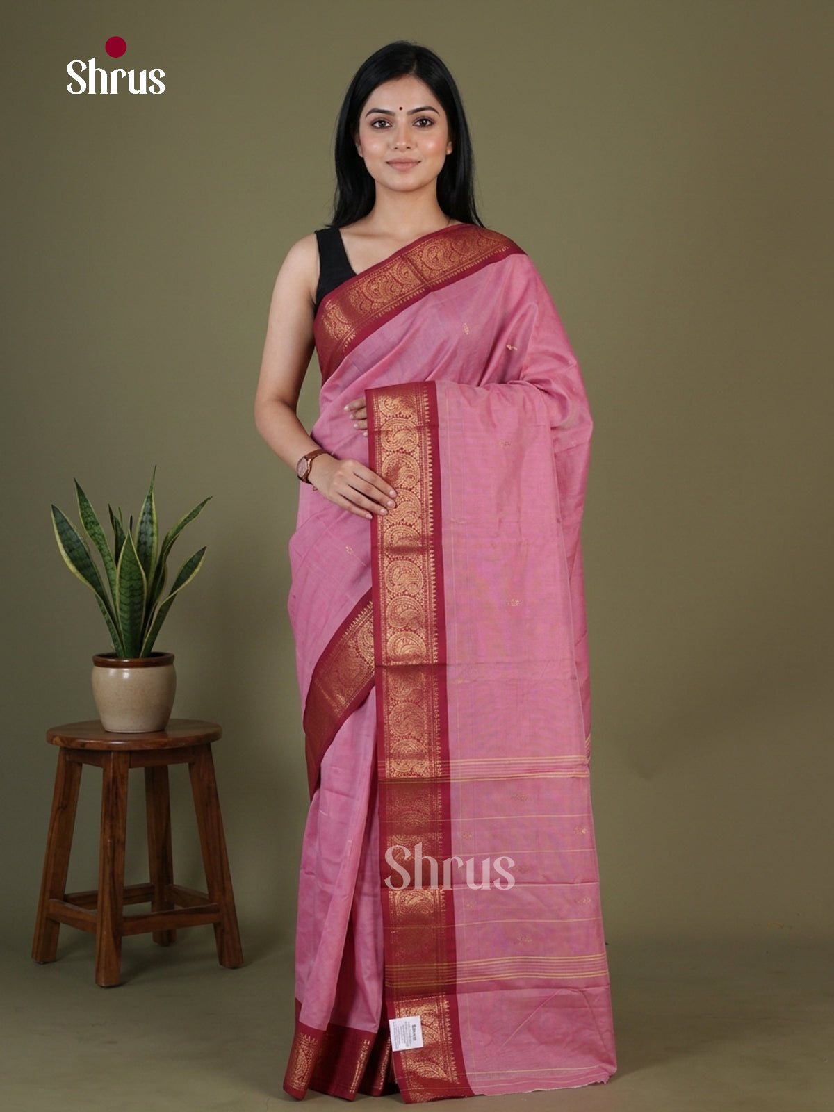 Chettinad Mix Cotton Saree - EGS11091 - Shop on Shrus.com
