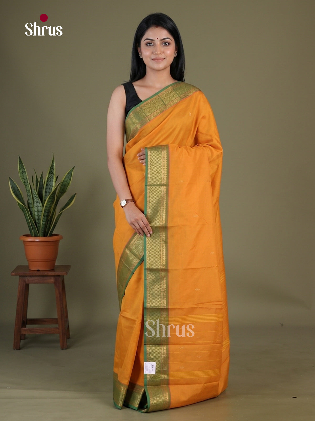 Chettinad Mix Cotton Saree - EGS11098