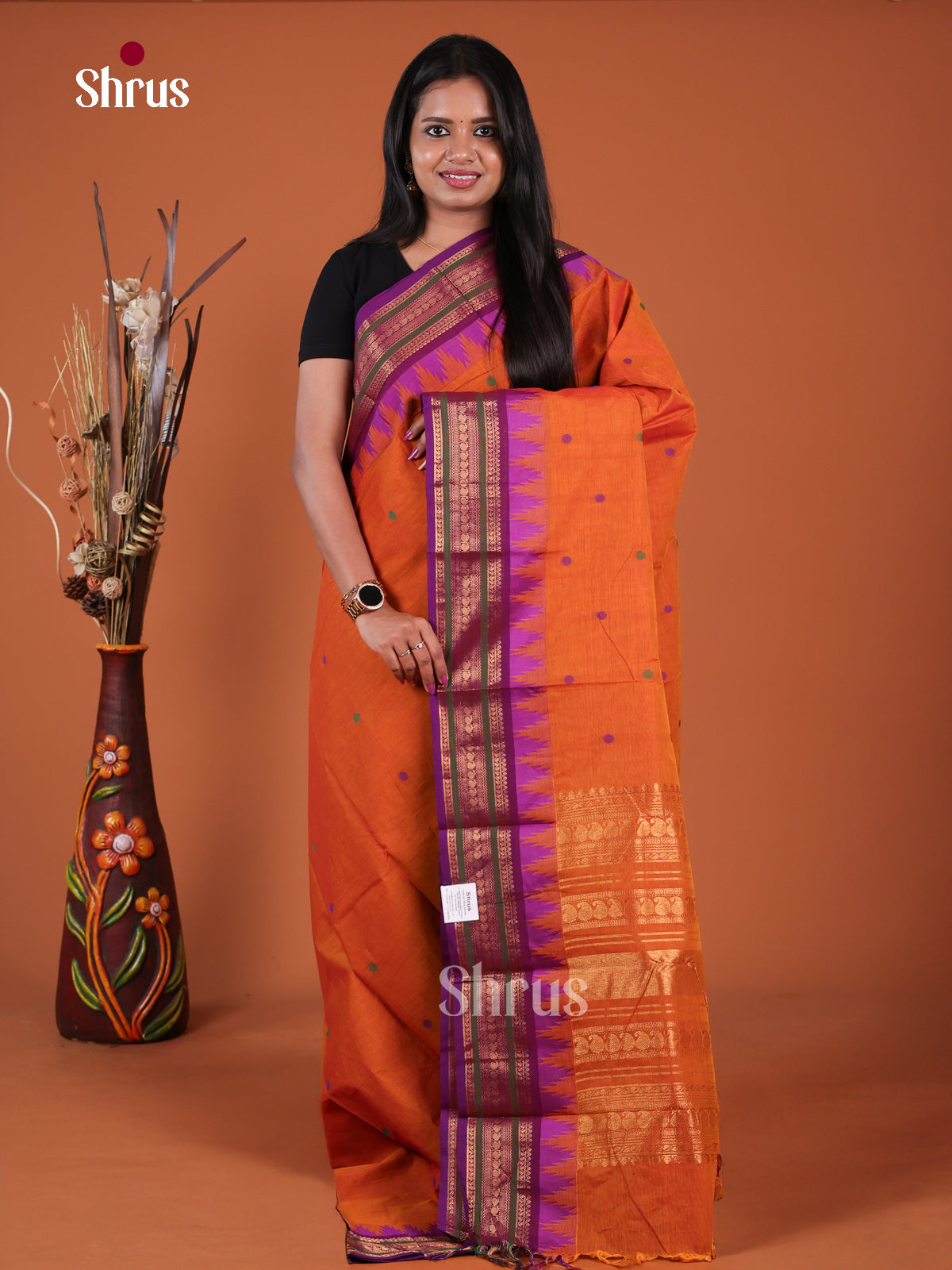 Chettinad Cotton Saree - EGS11104