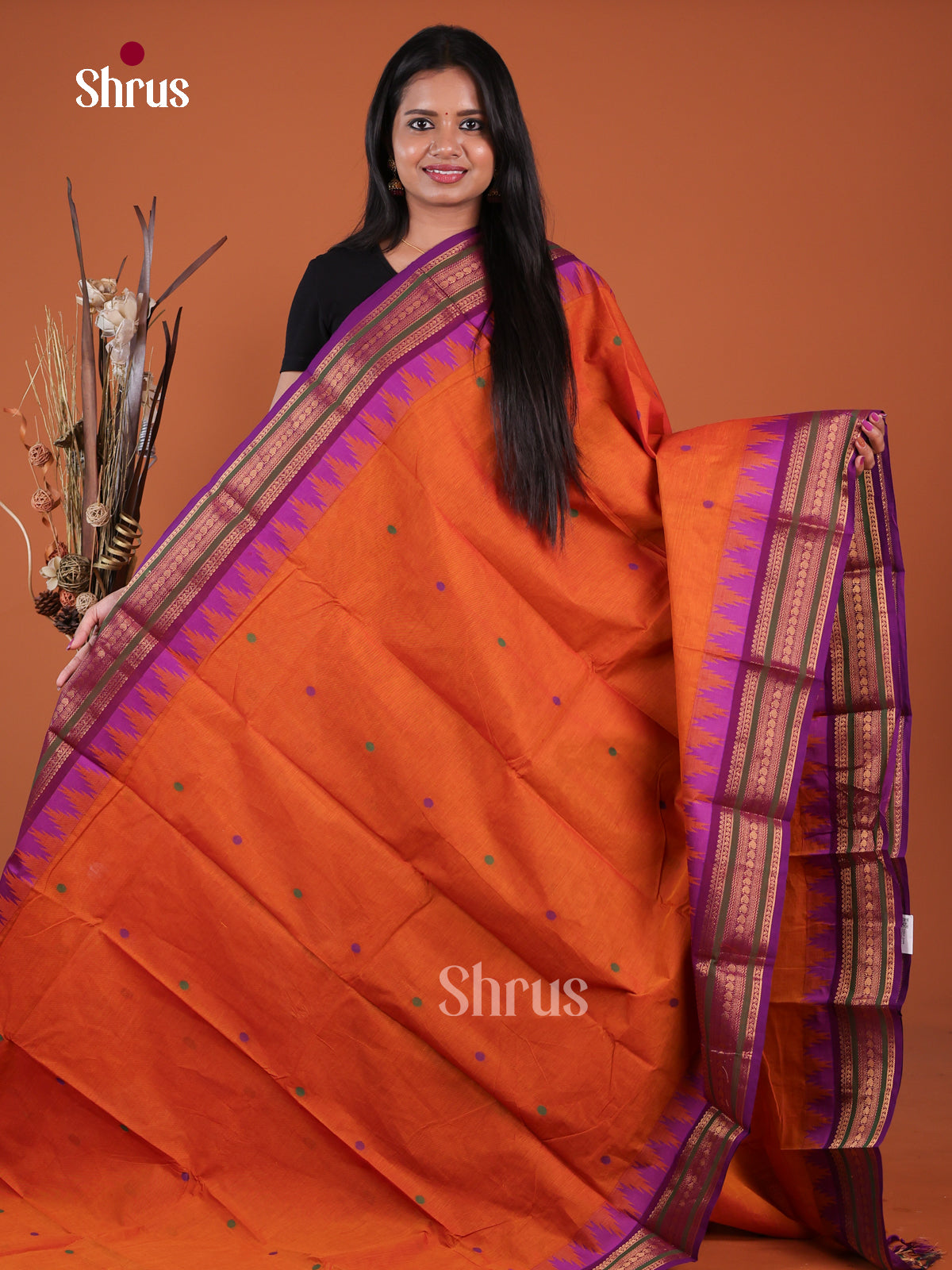 Chettinad Cotton Saree - EGS11104