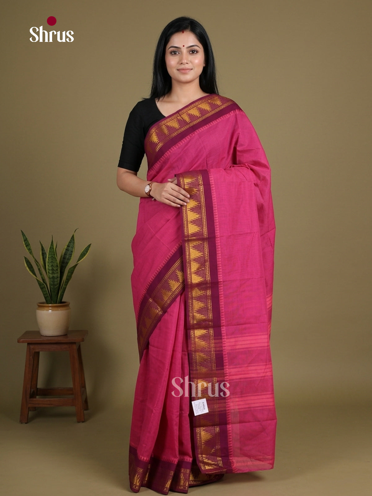 Chettinad Cotton Saree - EGS11137