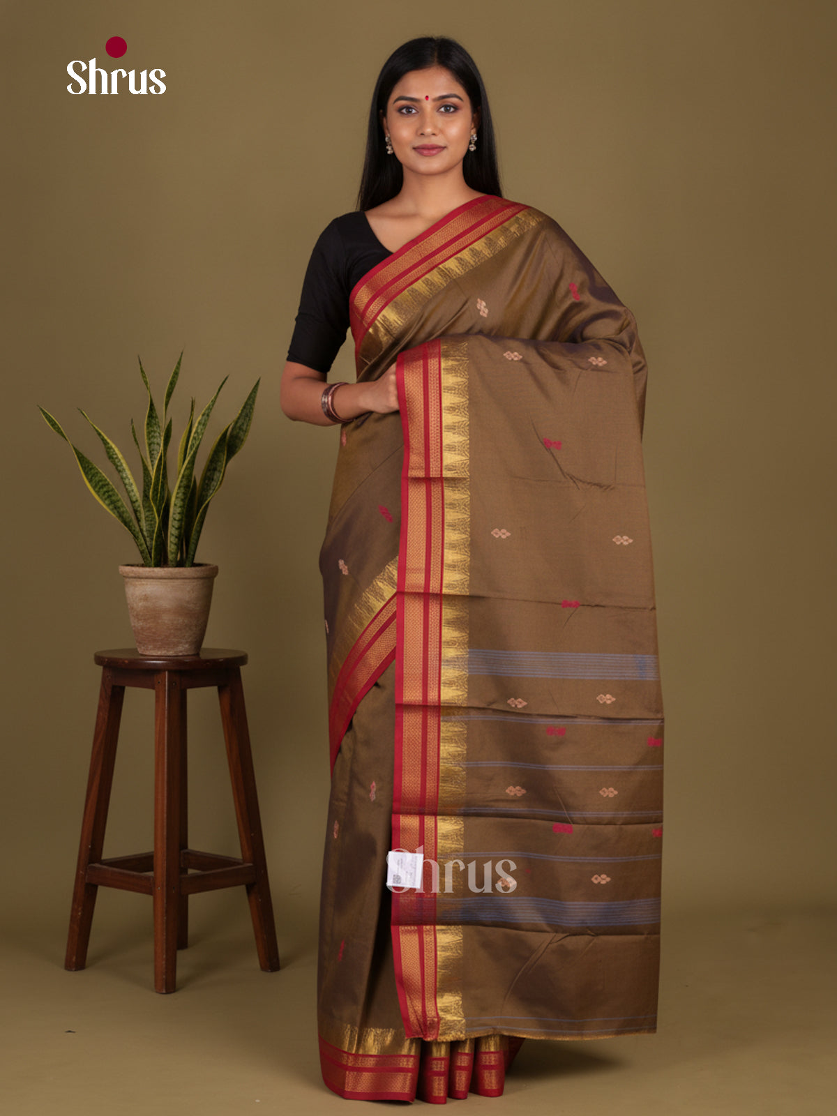 Chettinad Mix Cotton Saree - EGS11157 - Shop on Shrus.com