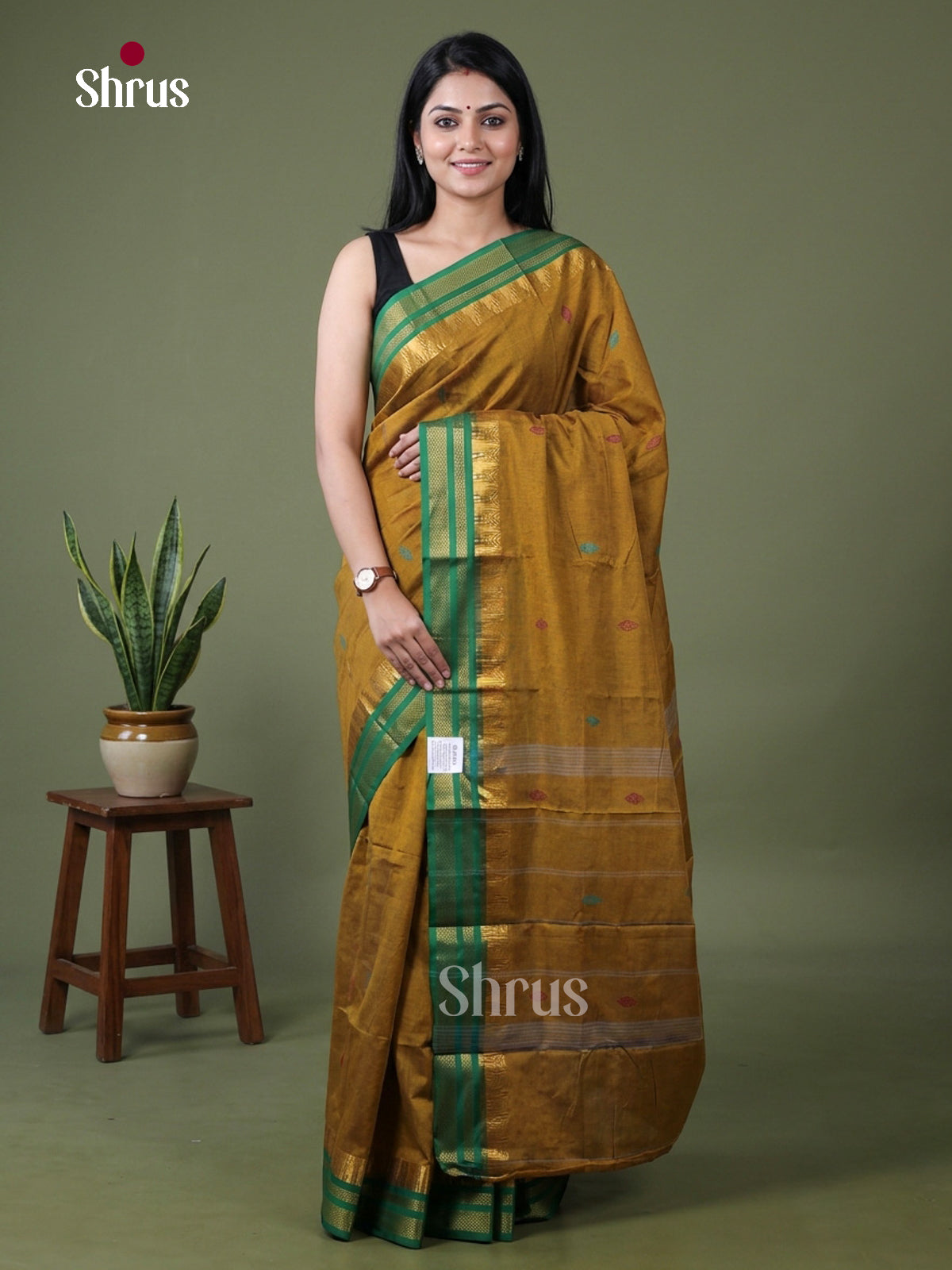 Chettinad Mix Cotton Saree - EGS11162