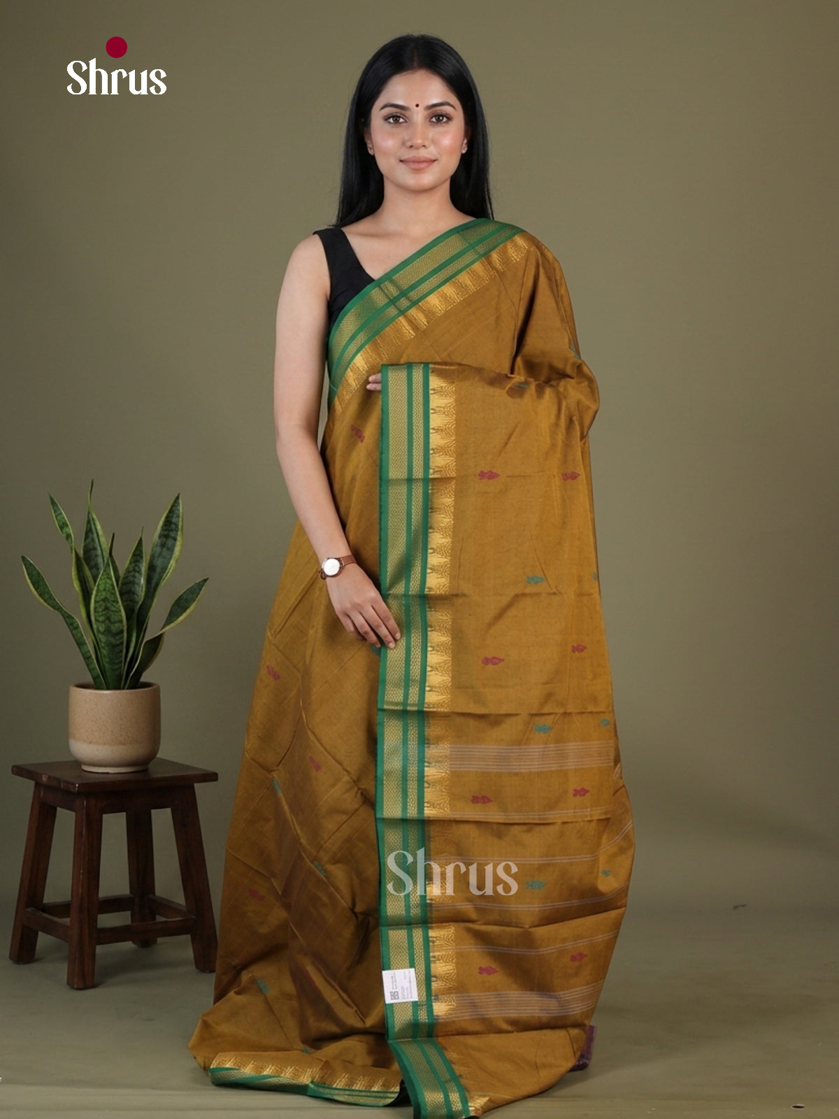Chettinad Mix Cotton Saree - EGS11168