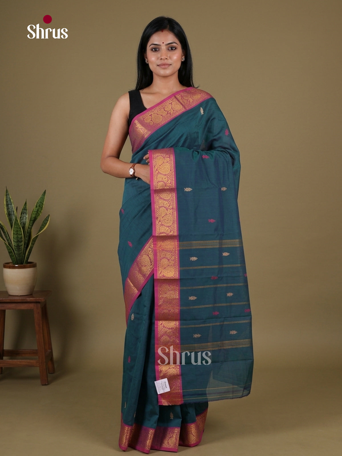 Chettinad Mix Cotton Saree - EGS11210