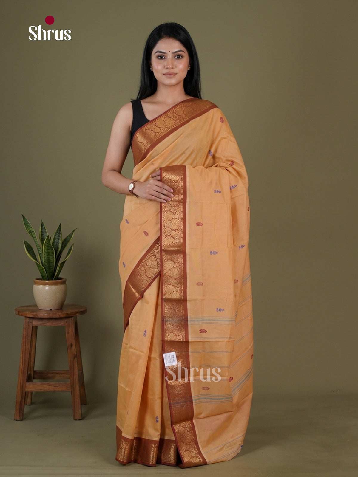 Chettinad Mix Cotton Saree - EGS11212 - Shop on Shrus.com