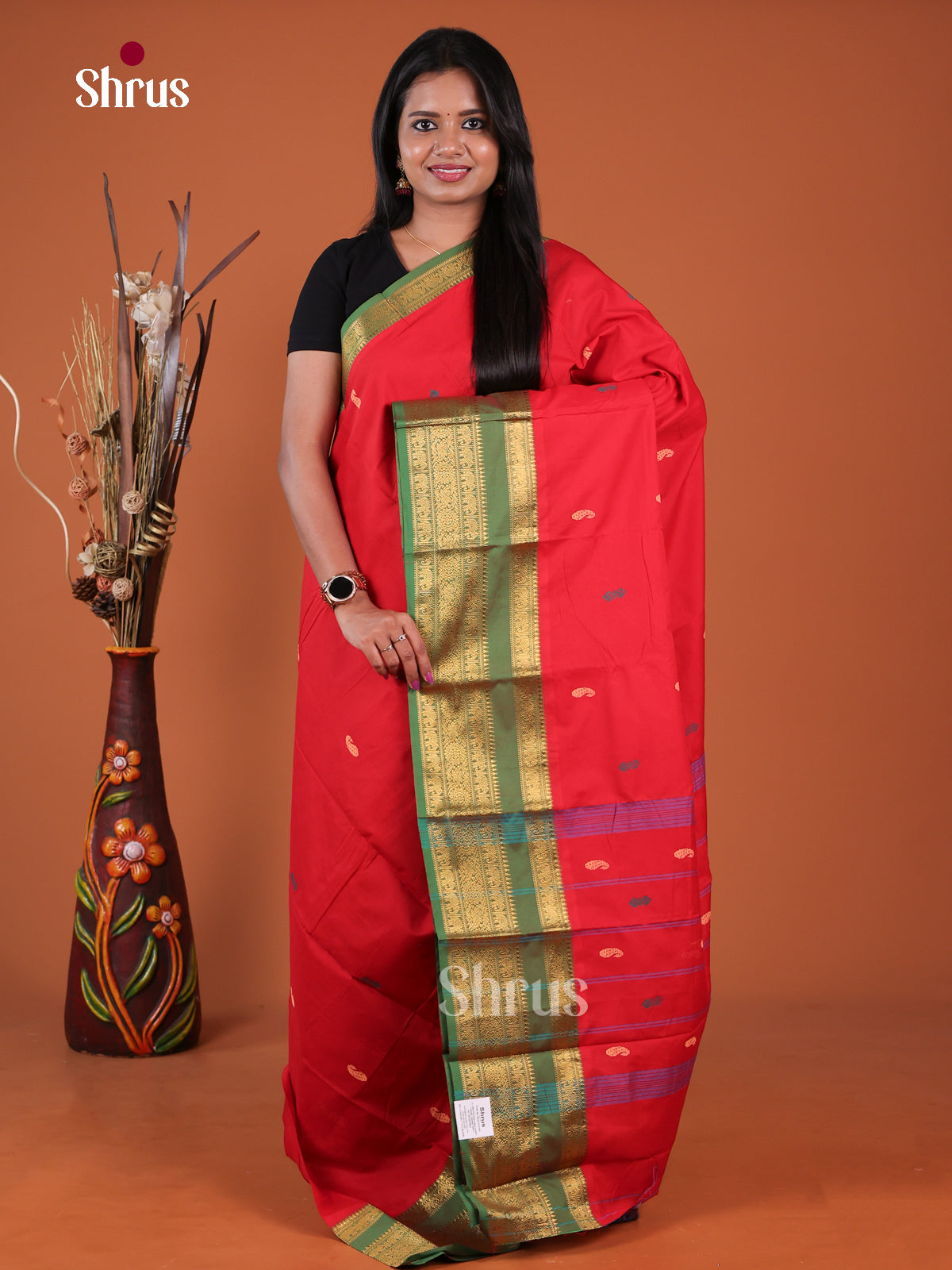 Chettinad Mix Cotton Saree - EGS13007