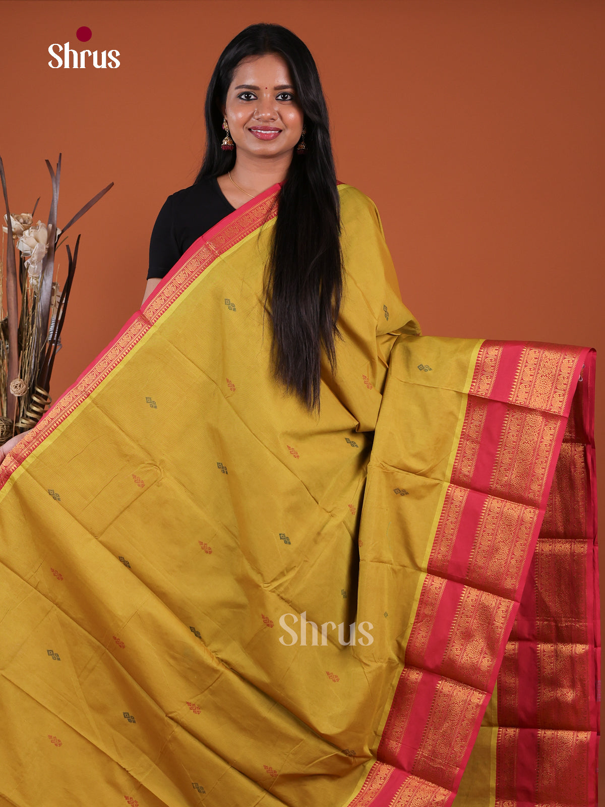 Chettinad Mix Cotton Saree - EGS13010