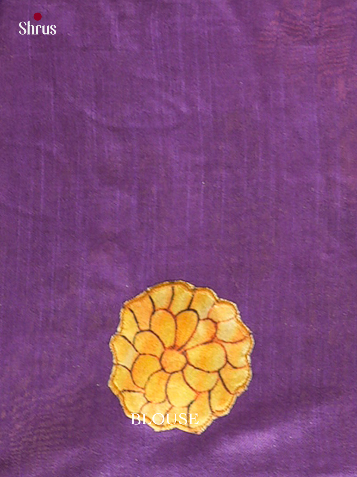 Kalamkari Applique Saree - EGS13028