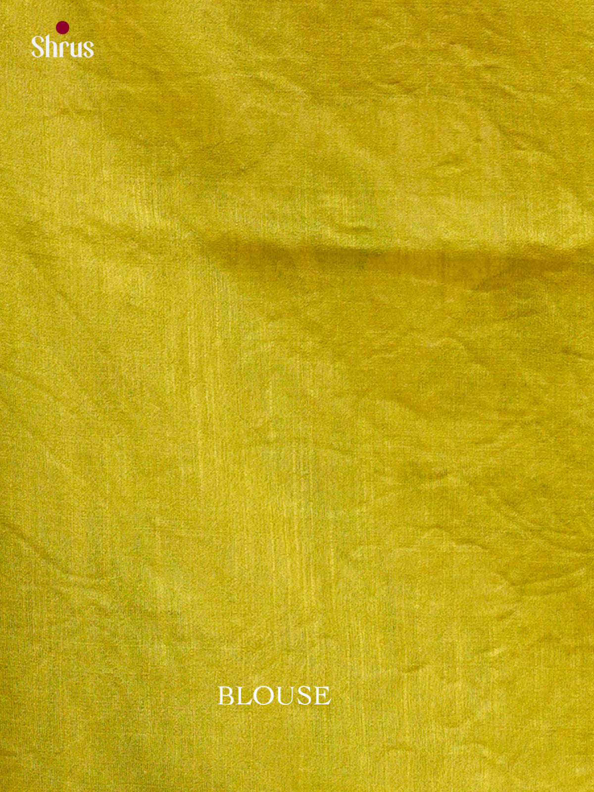 Kalamkari Applique Saree - EGS13041