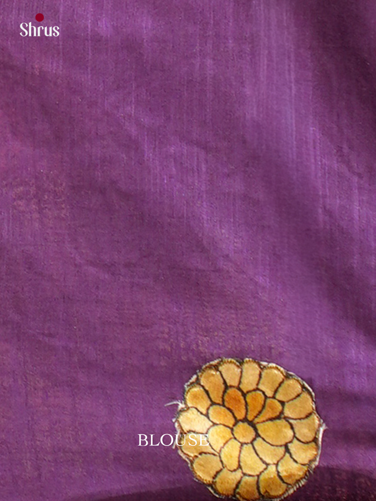 Kalamkari Applique Saree - EGS13047