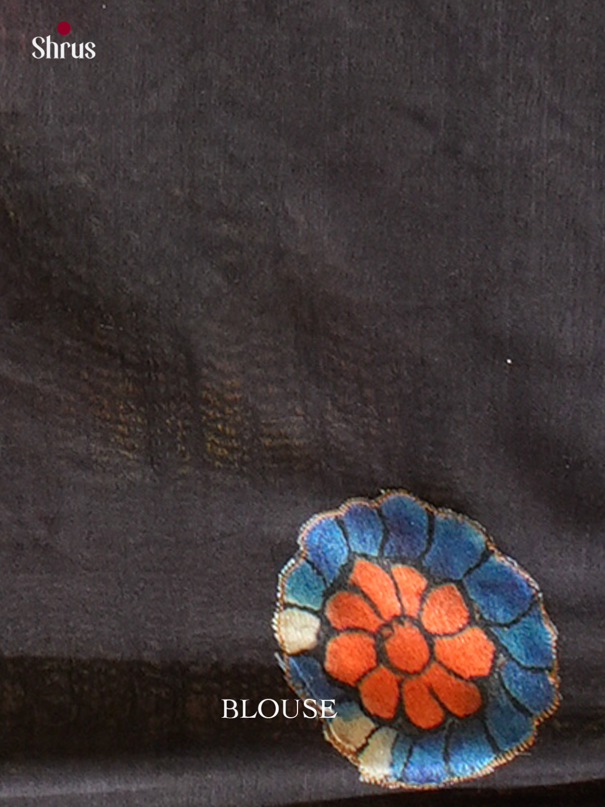 Kalamkari Applique Saree - EGS13048