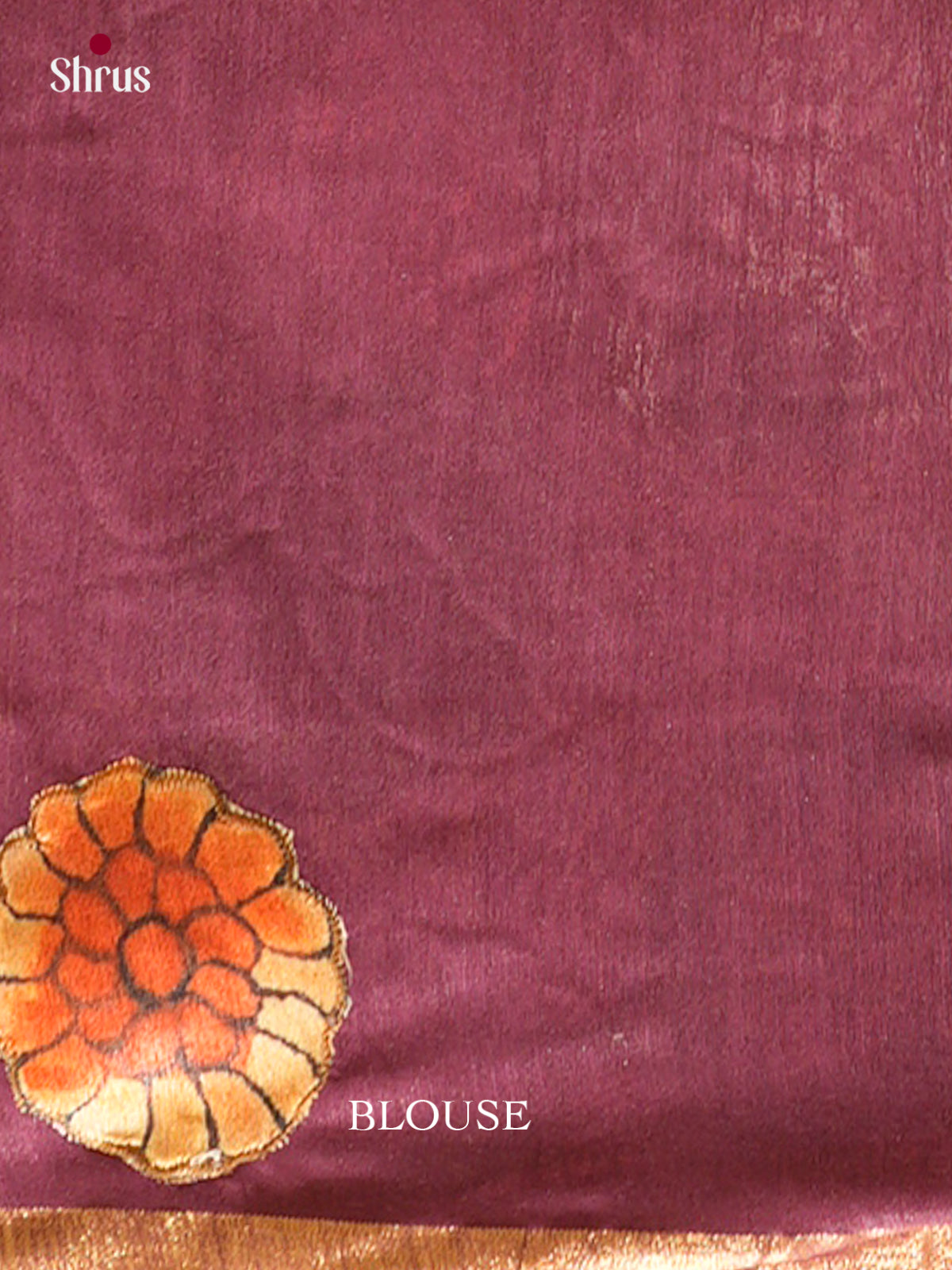 Kalamkari Applique Saree - EGS13049