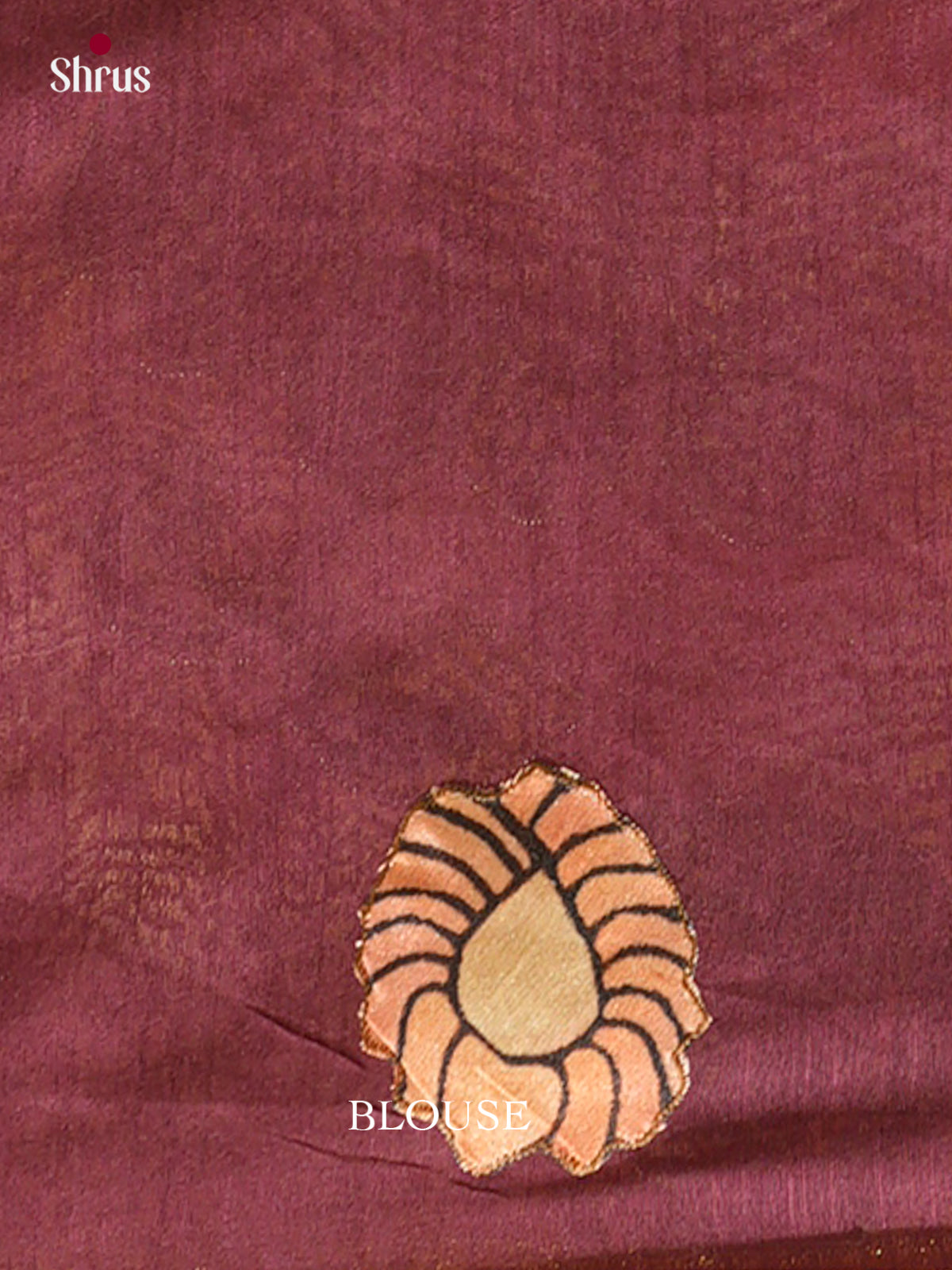 Kalamkari Applique Saree - EGS13089