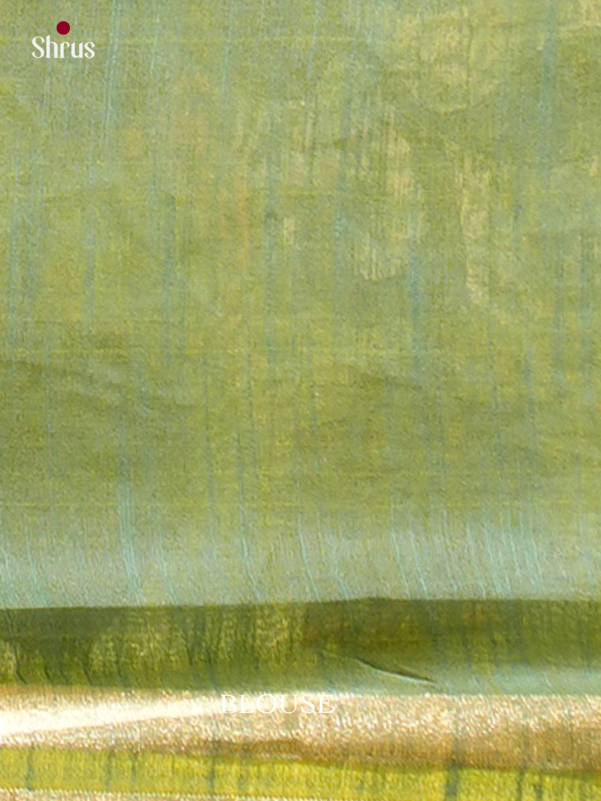 Kalamkari Applique Saree - EGS13091