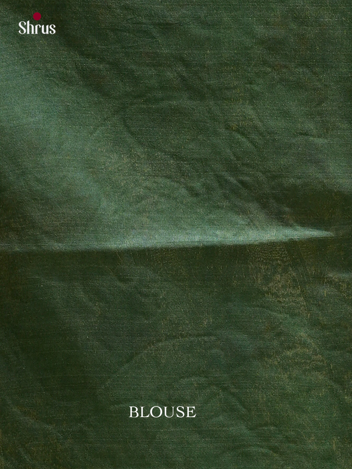 Kalamkari Applique Saree - EGS13107