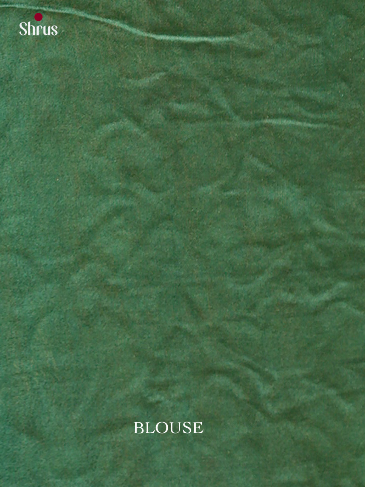 Kalamkari Applique Saree - EGS13118