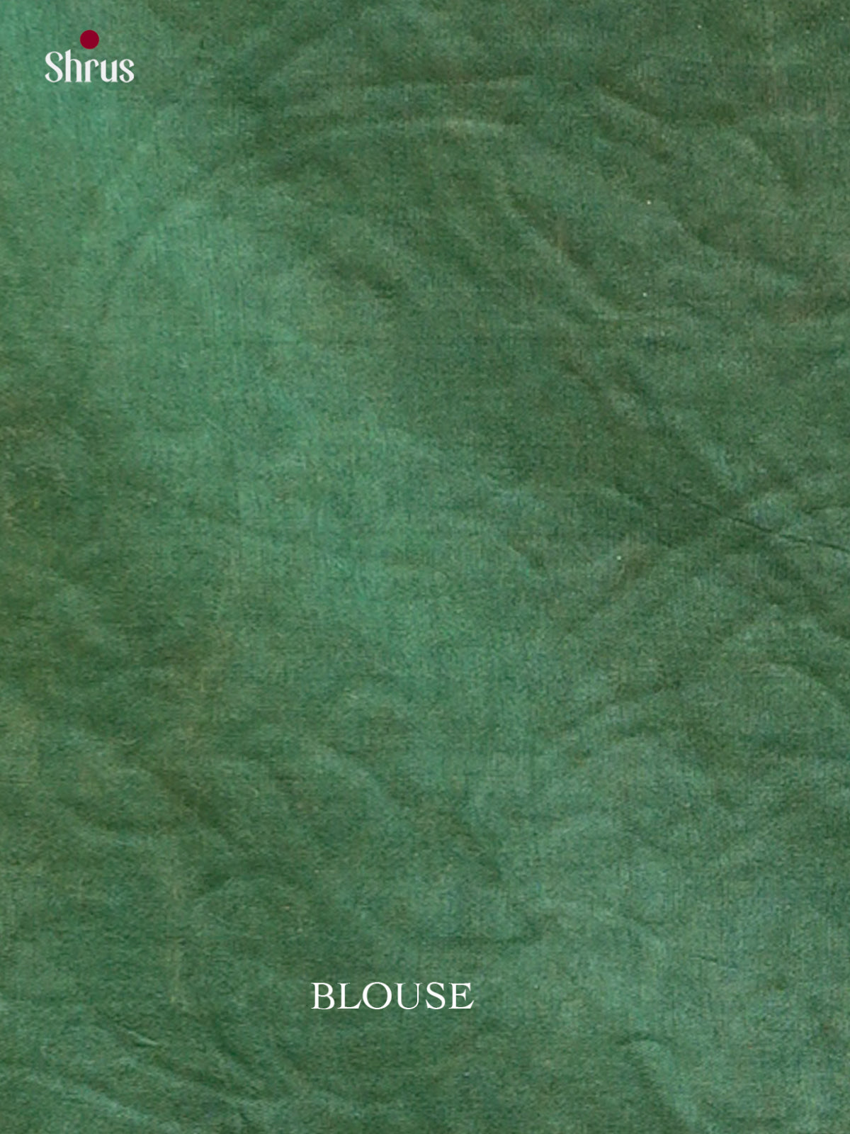 Kalamkari Applique Saree - EGS13124
