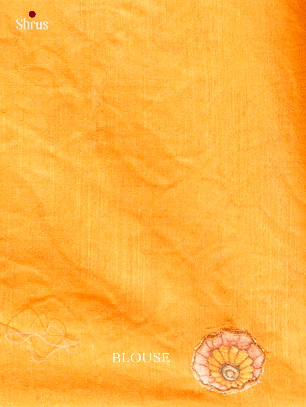 Kalamkari Applique Saree - EGS13133