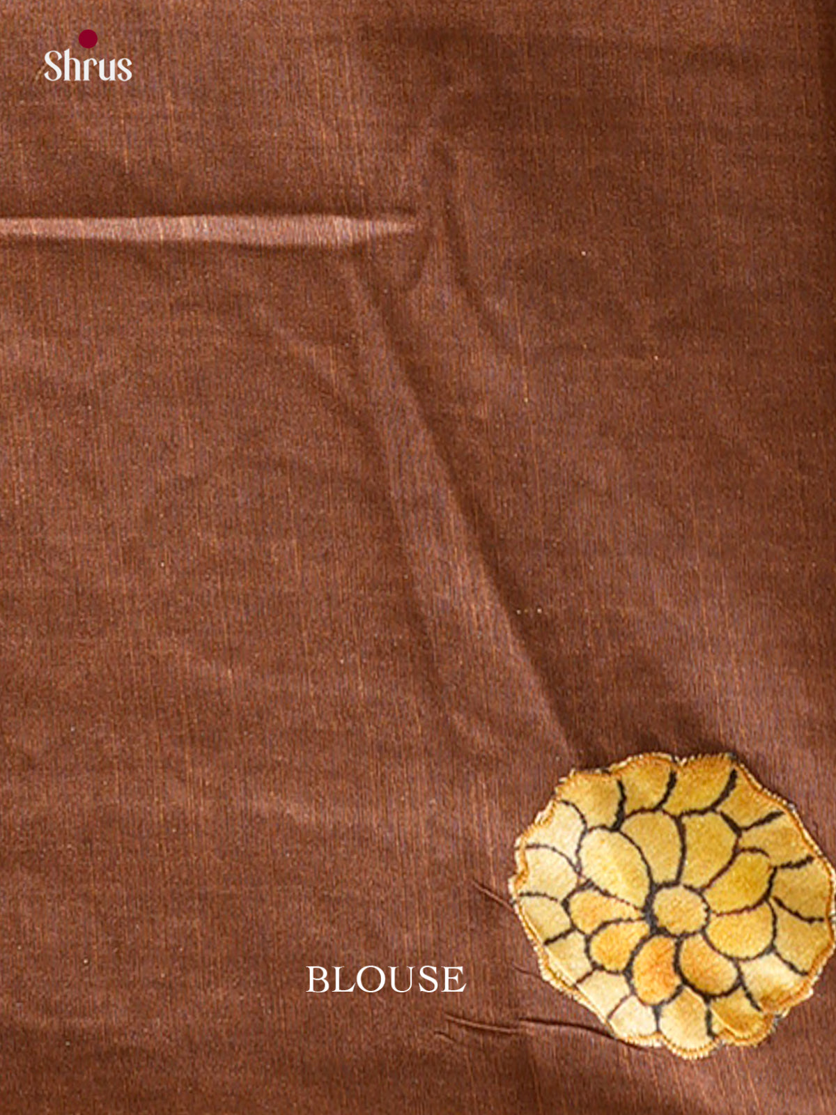 Kalamkari Applique Saree - EGS13135