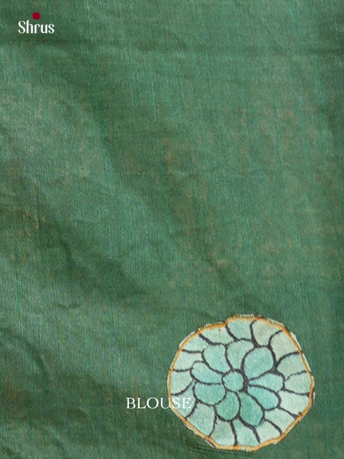 Kalamkari Applique Saree - EGS13136