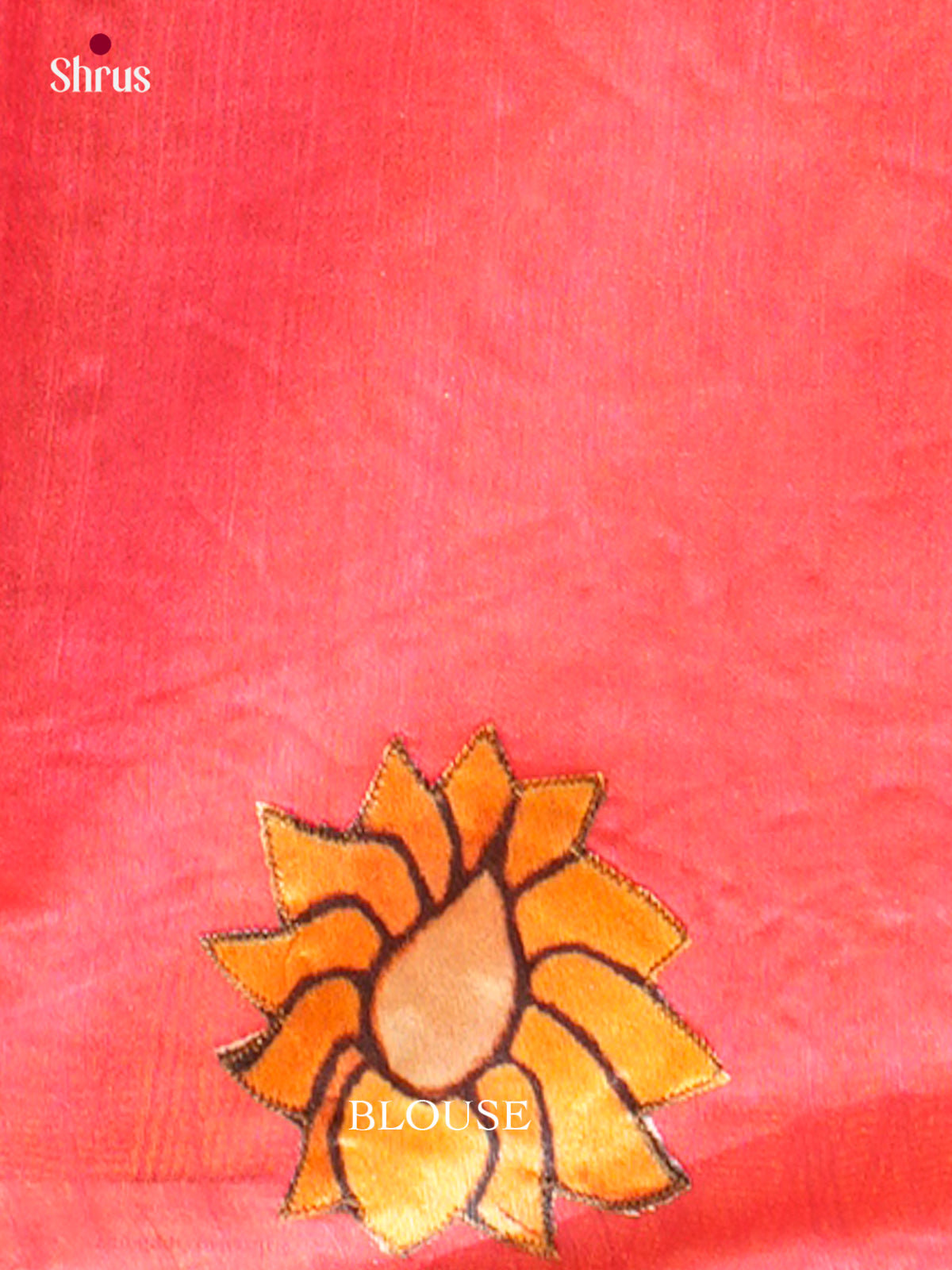 Kalamkari Applique Saree - EGS13138