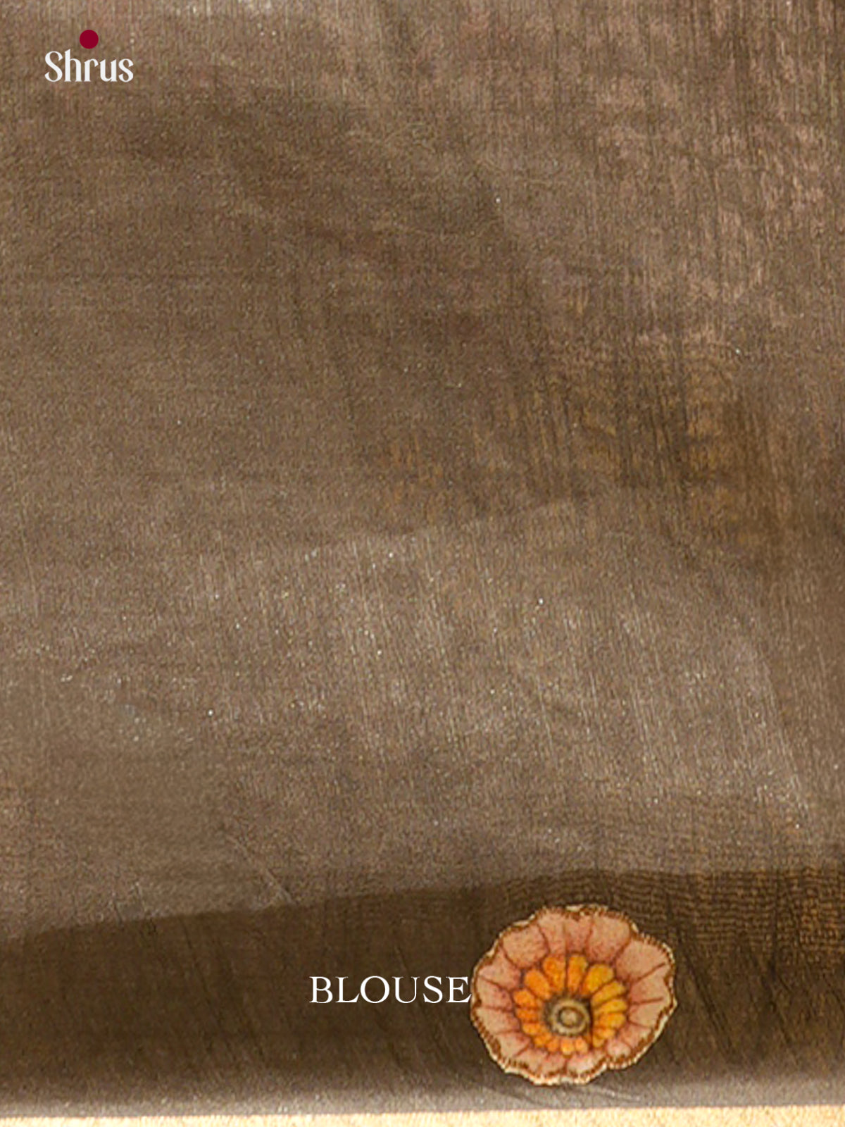 Kalamkari Applique Saree - EGS13140