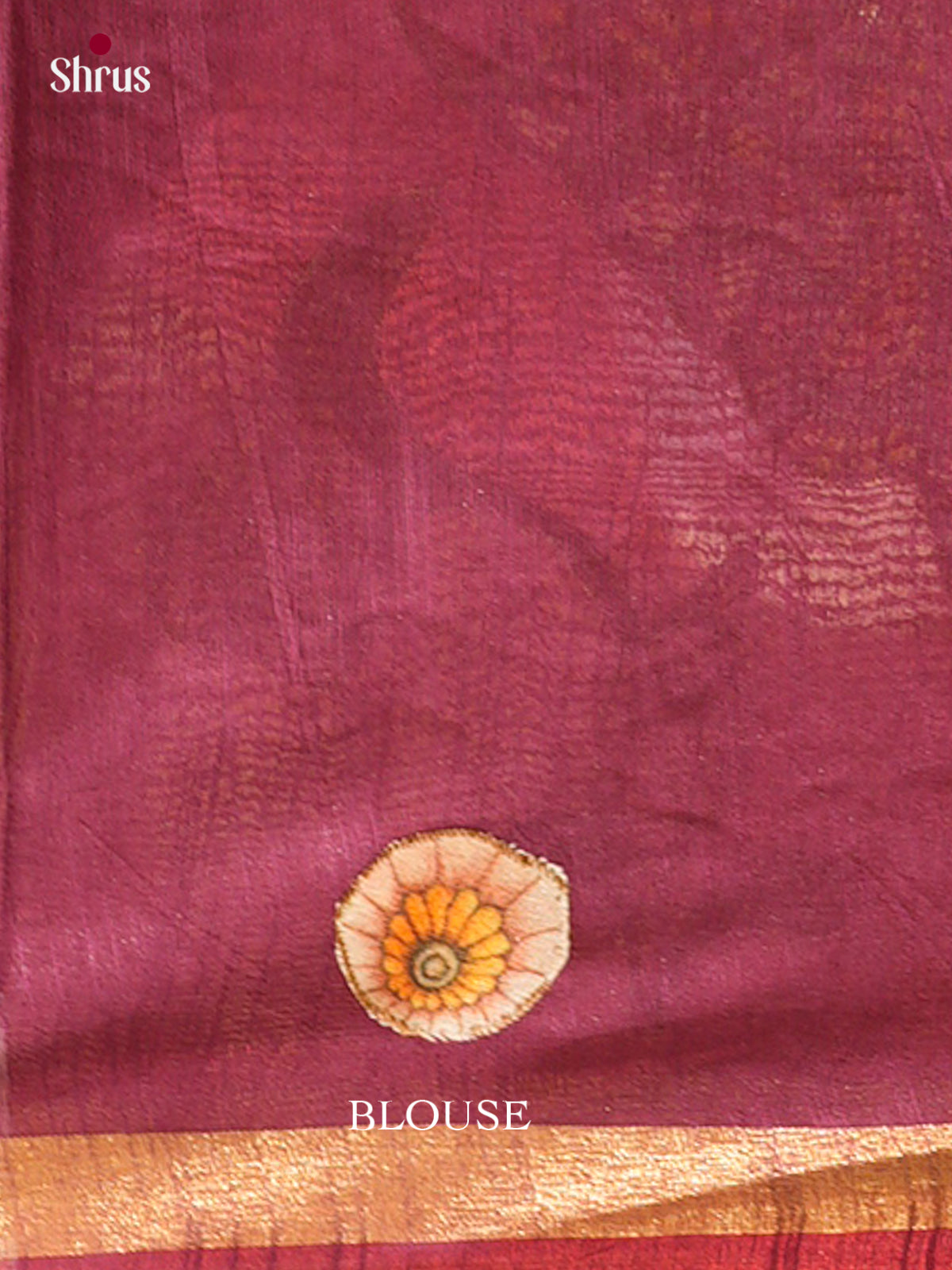 Kalamkari Applique Saree - EGS13143