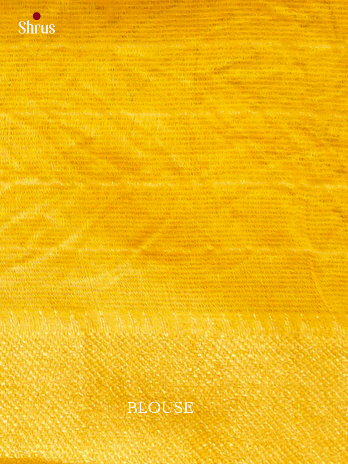 Kalamkari Applique Saree - EGS13182