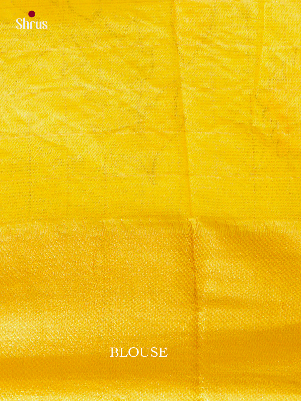 Kalamkari Applique Saree - EGS13185
