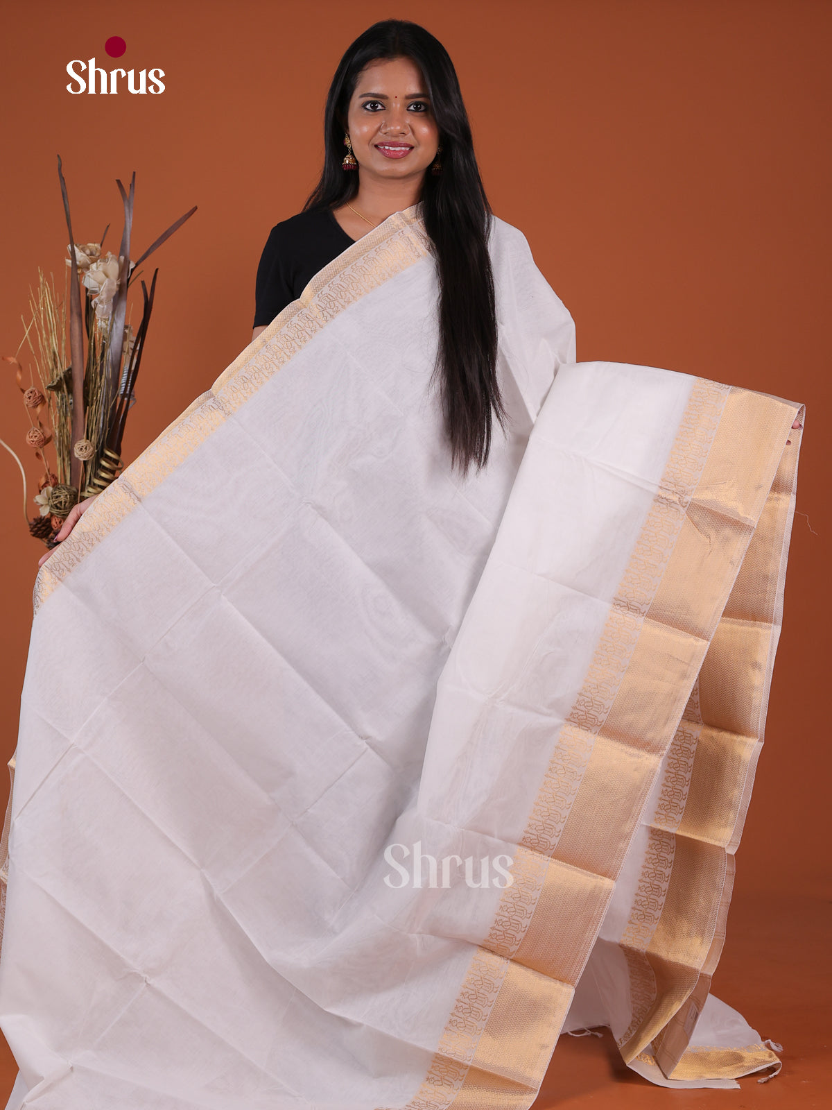 Chettinad Cotton Saree - EGS16011