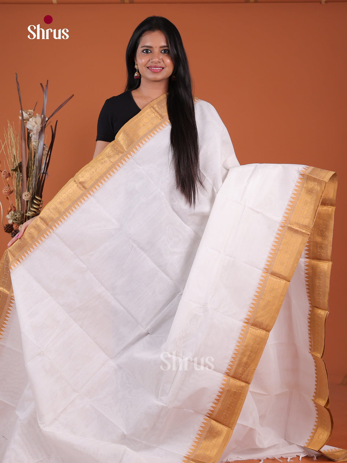 Chettinad Cotton Saree - EGS16013