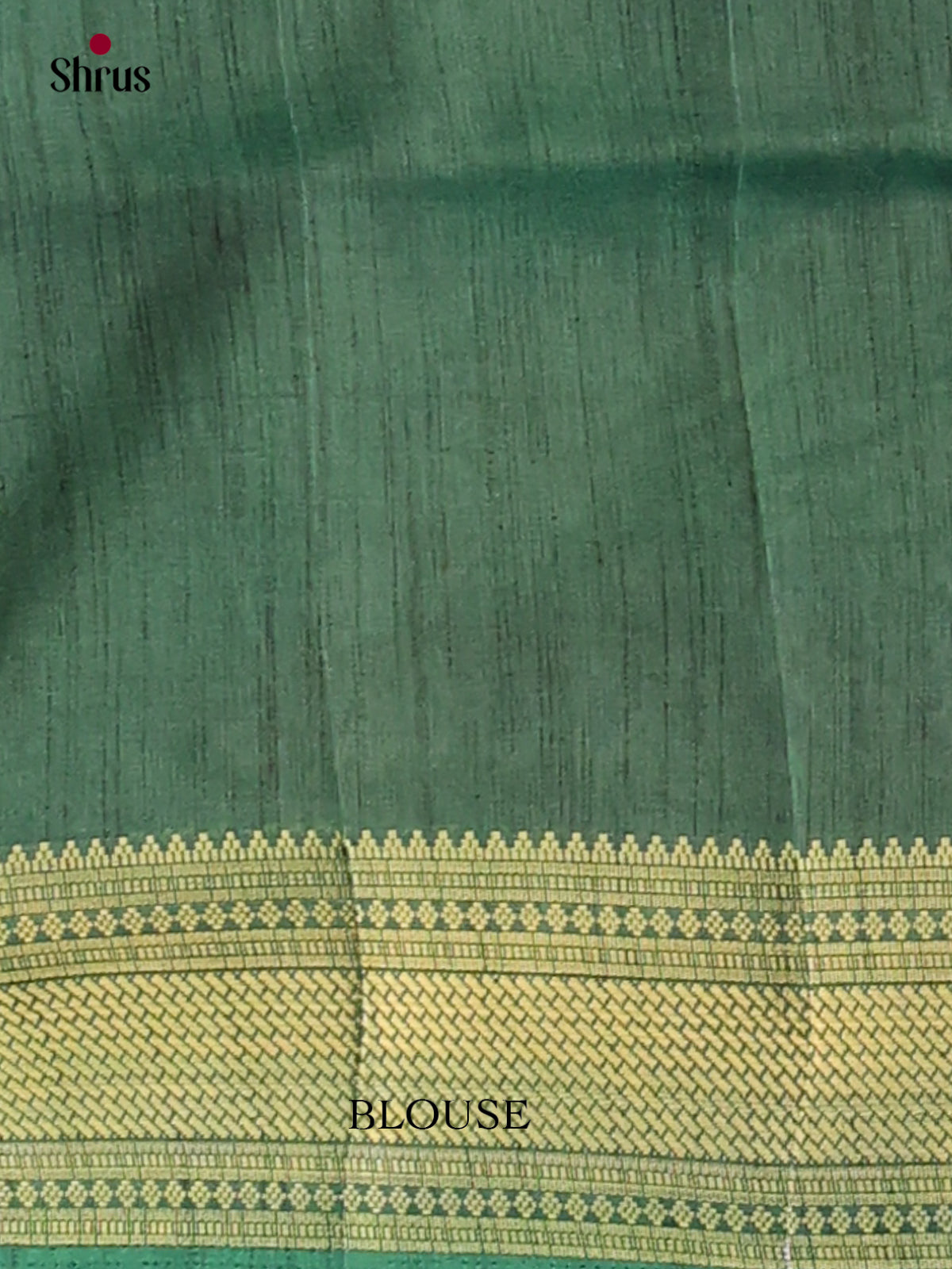 Semi Patola Saree - EGS21108