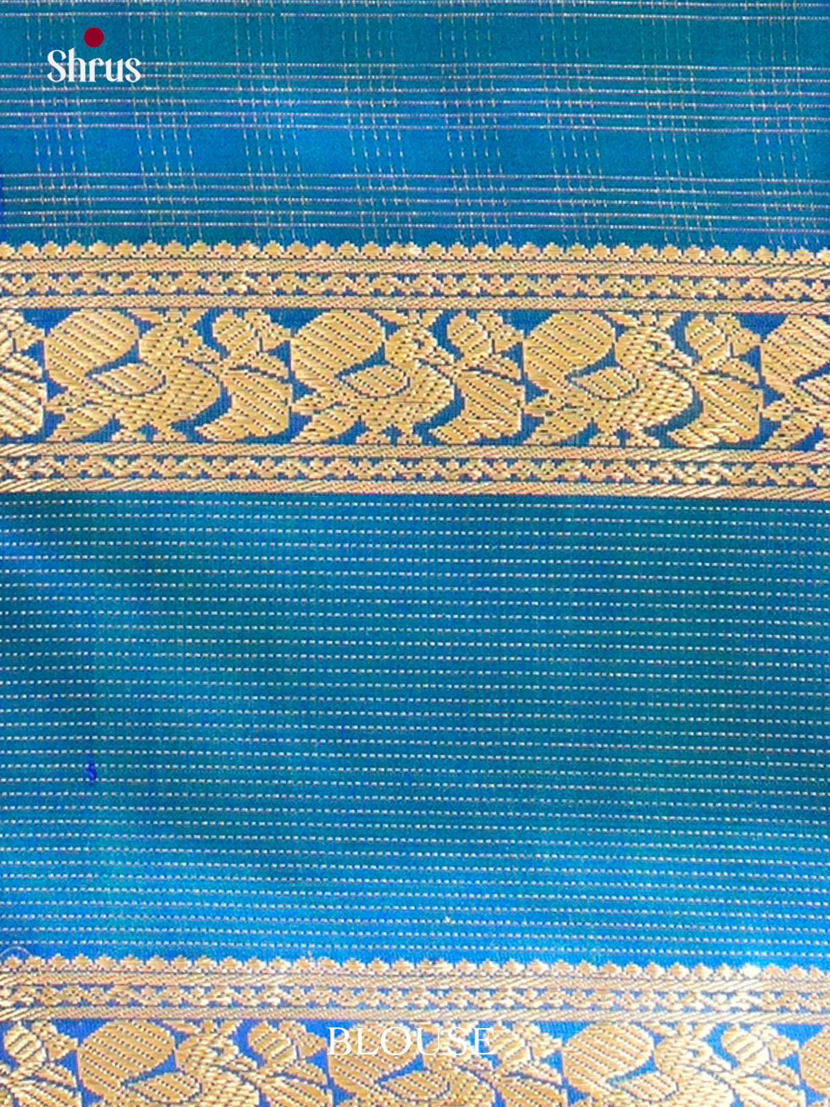Kanchipuram silk Saree - EH01165