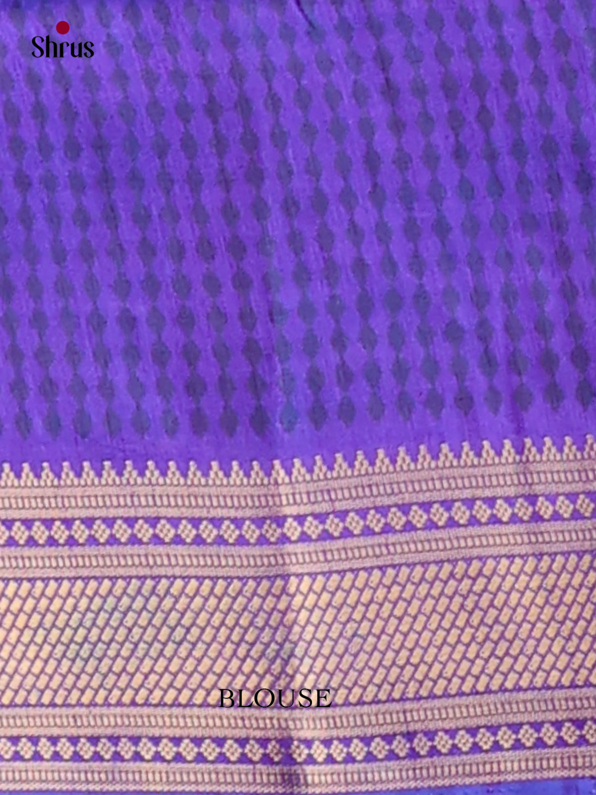 Semi Patola Saree - EH04019