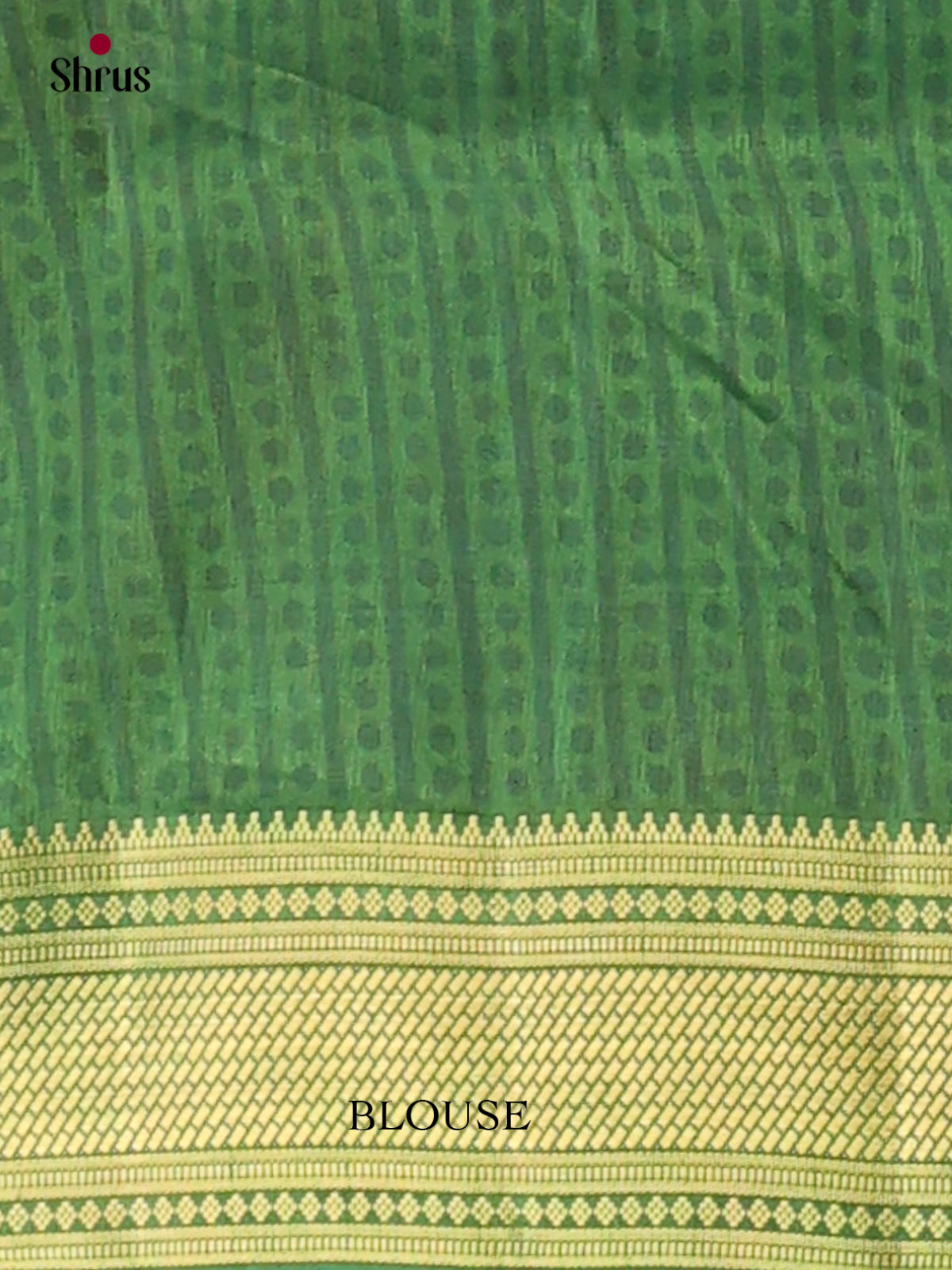 Semi Patola Saree - EH04029