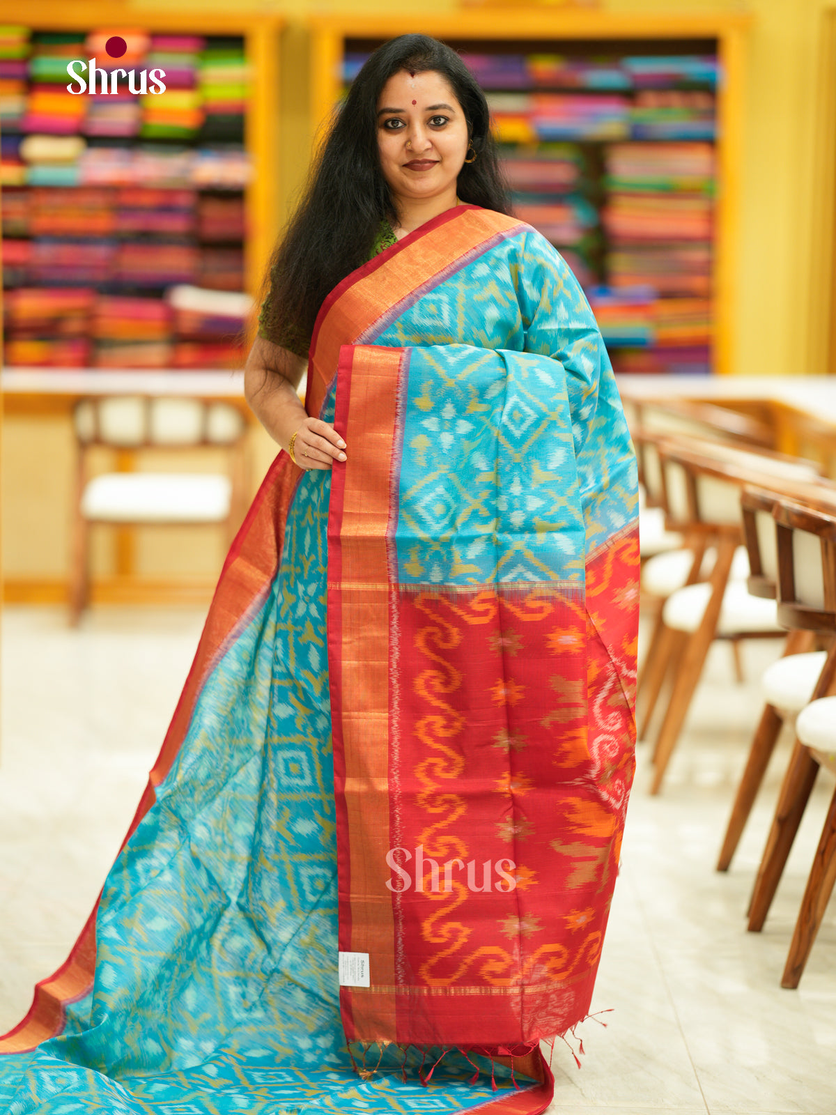 Pochampally sico Saree - EH14001 - Shop on Shrus.com