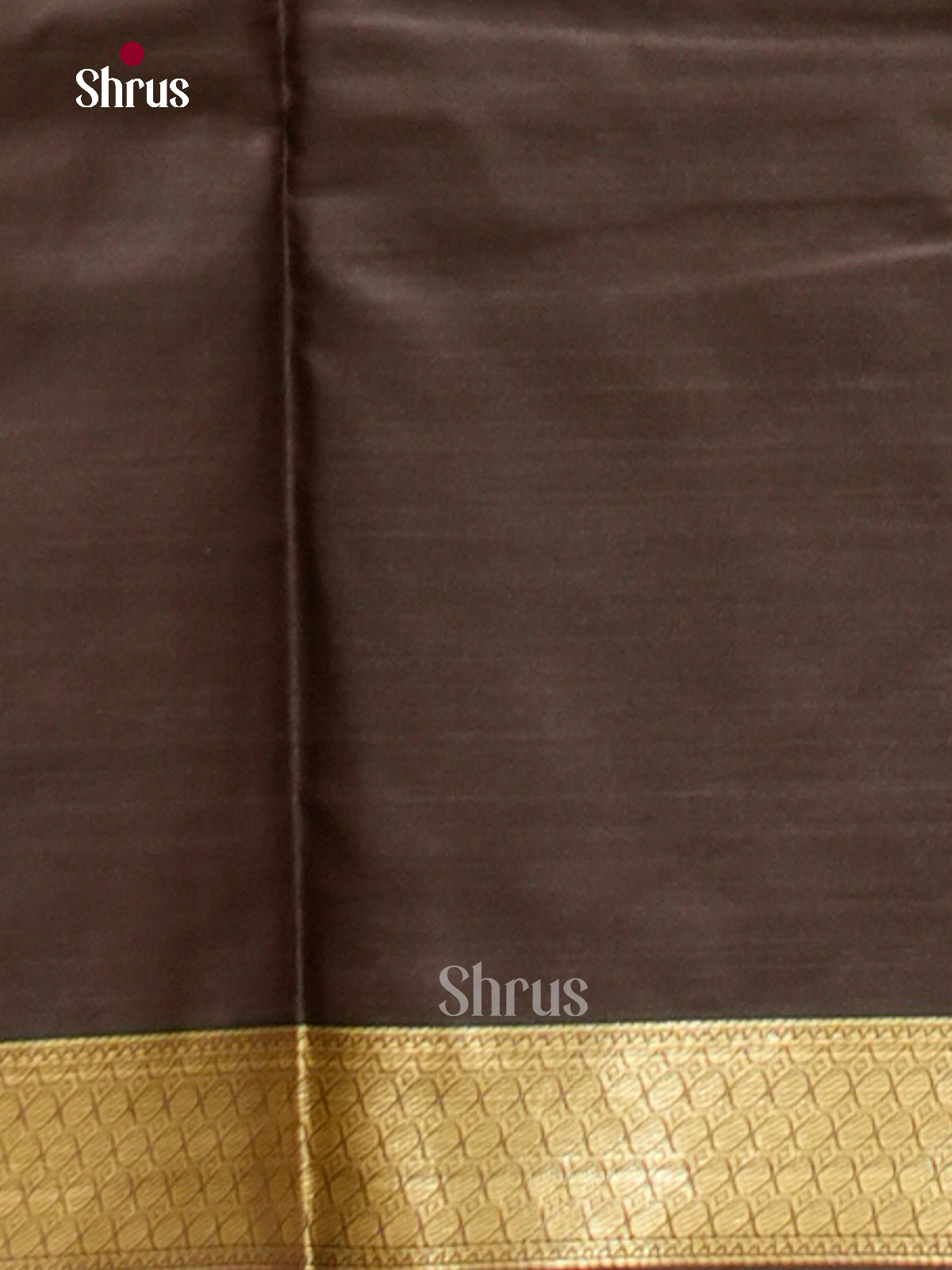 Kanchipuram-halfpure Saree - EH17004