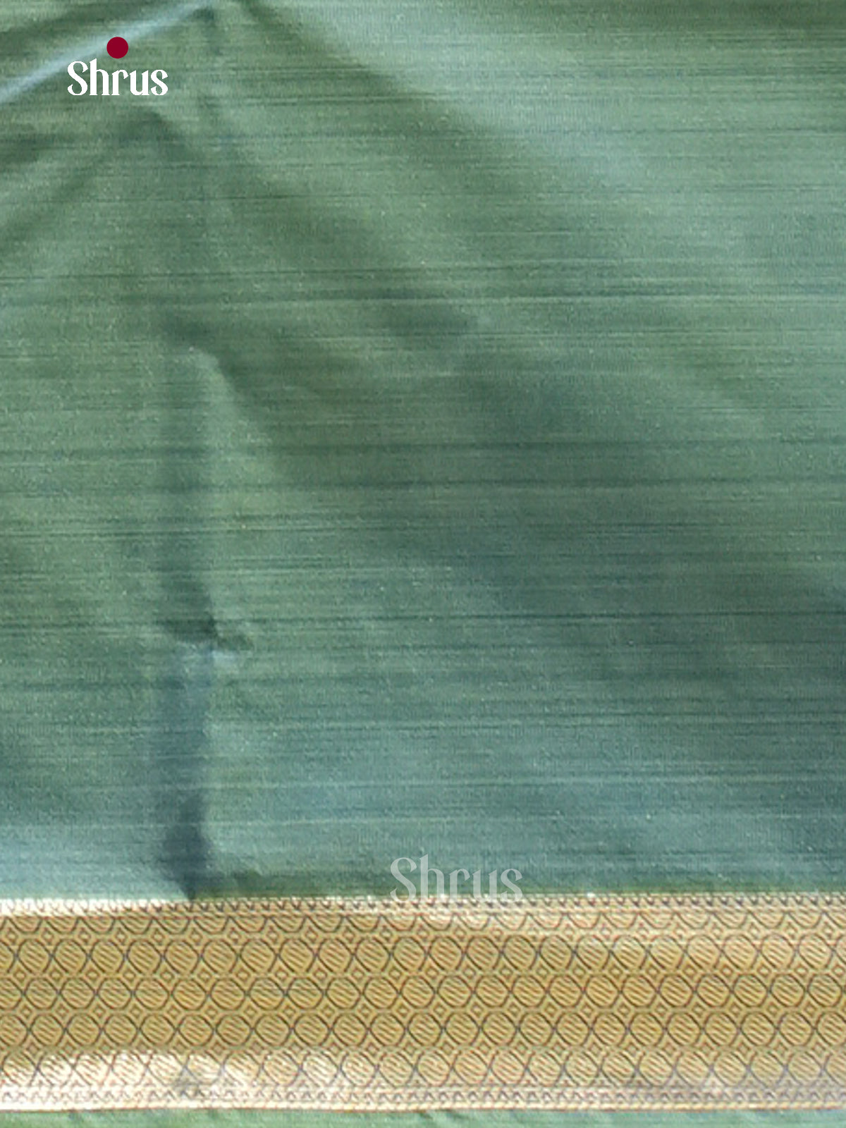Kanchipuram-halfpure Saree - EH17015