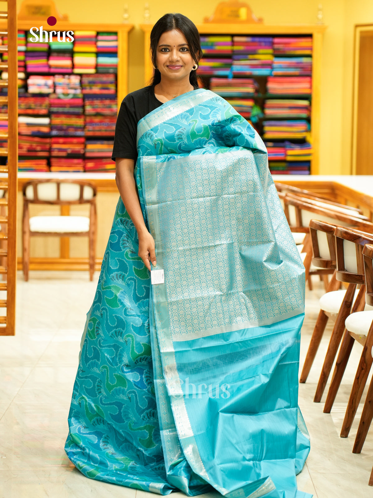 Kanchipuram-halfpure Saree - EH17028