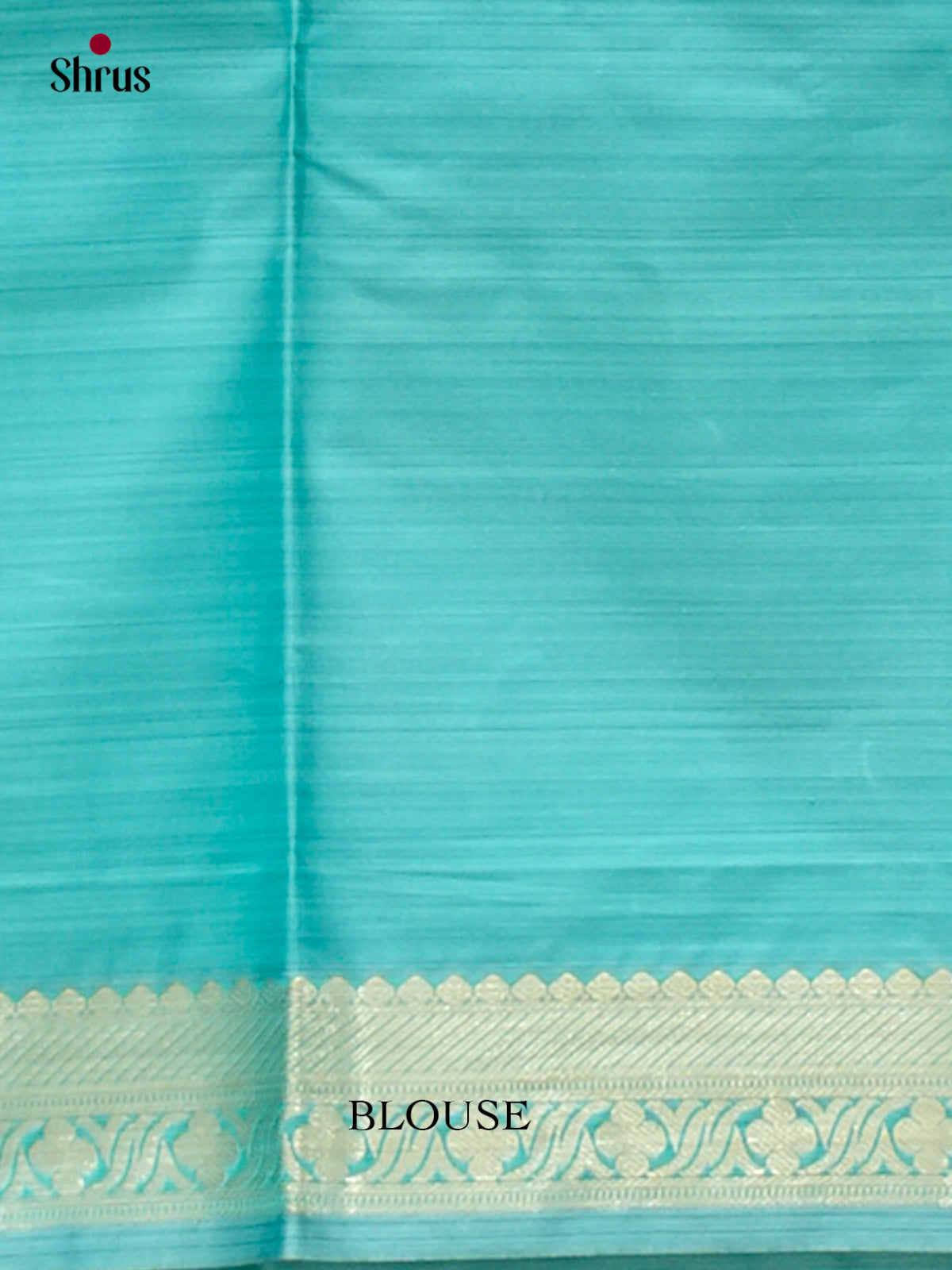 Kanchipuram-halfpure Saree - EH17028