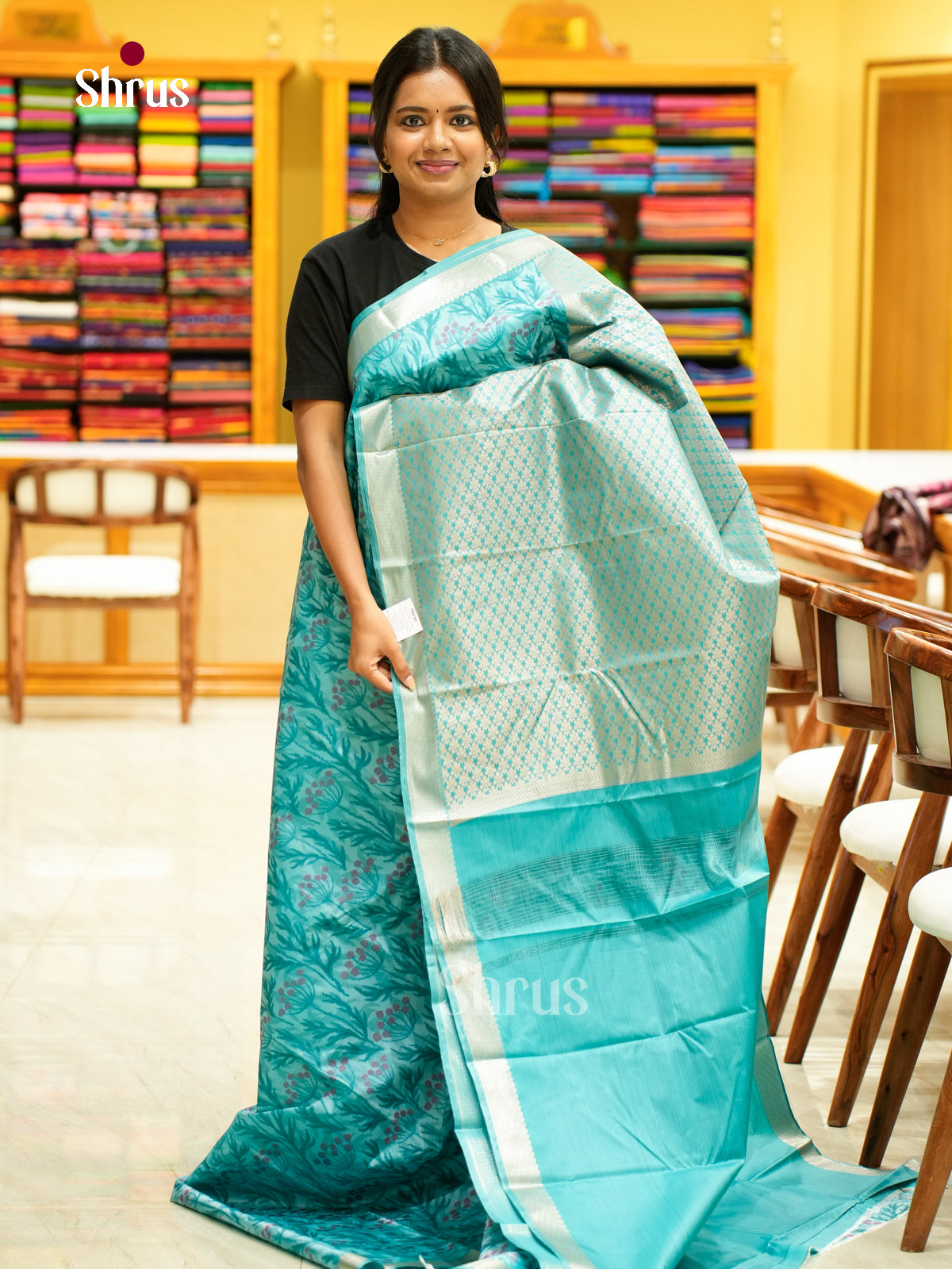 Kanchipuram-halfpure Saree - EH17031