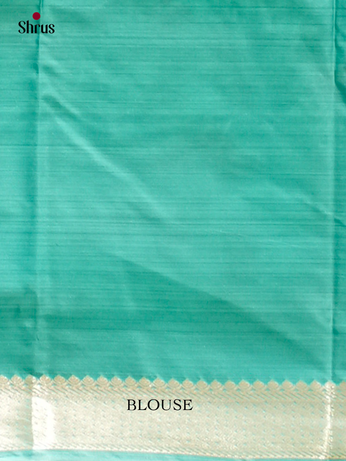Kanchipuram-halfpure Saree - EH17031