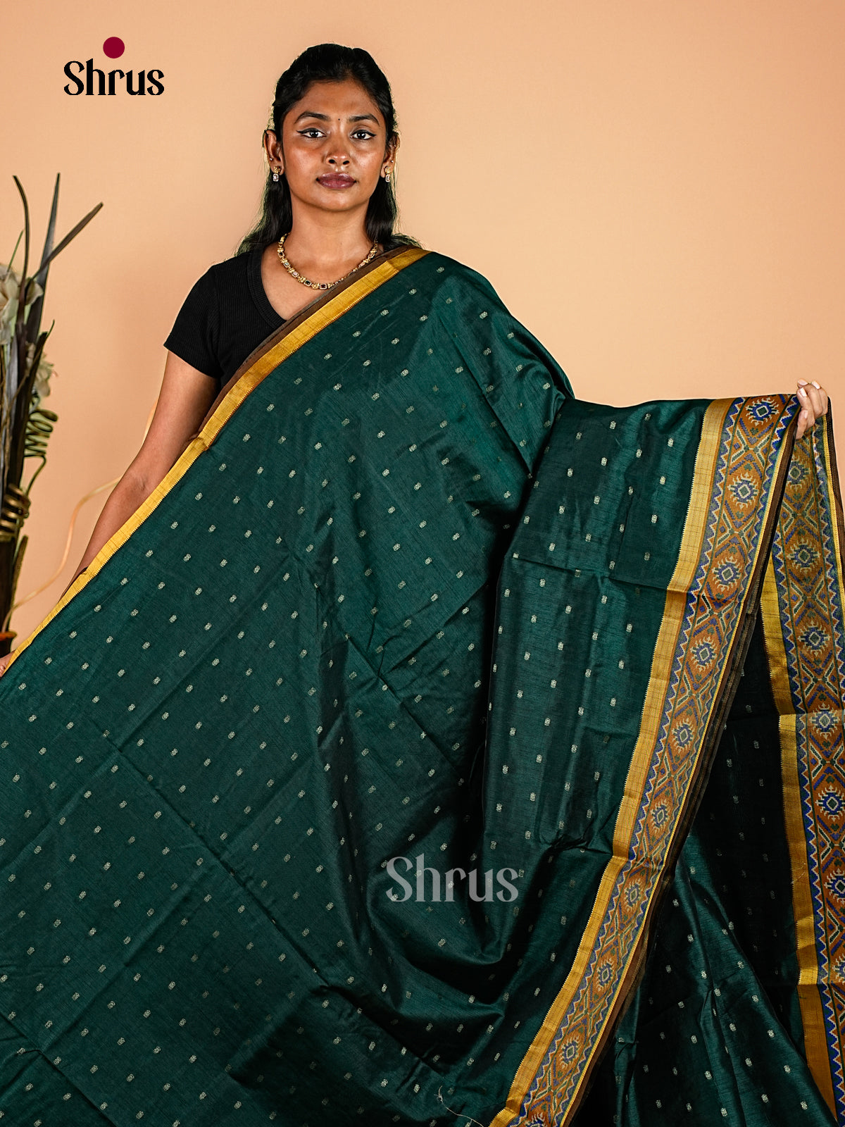 Semi Patola Saree - EH18069