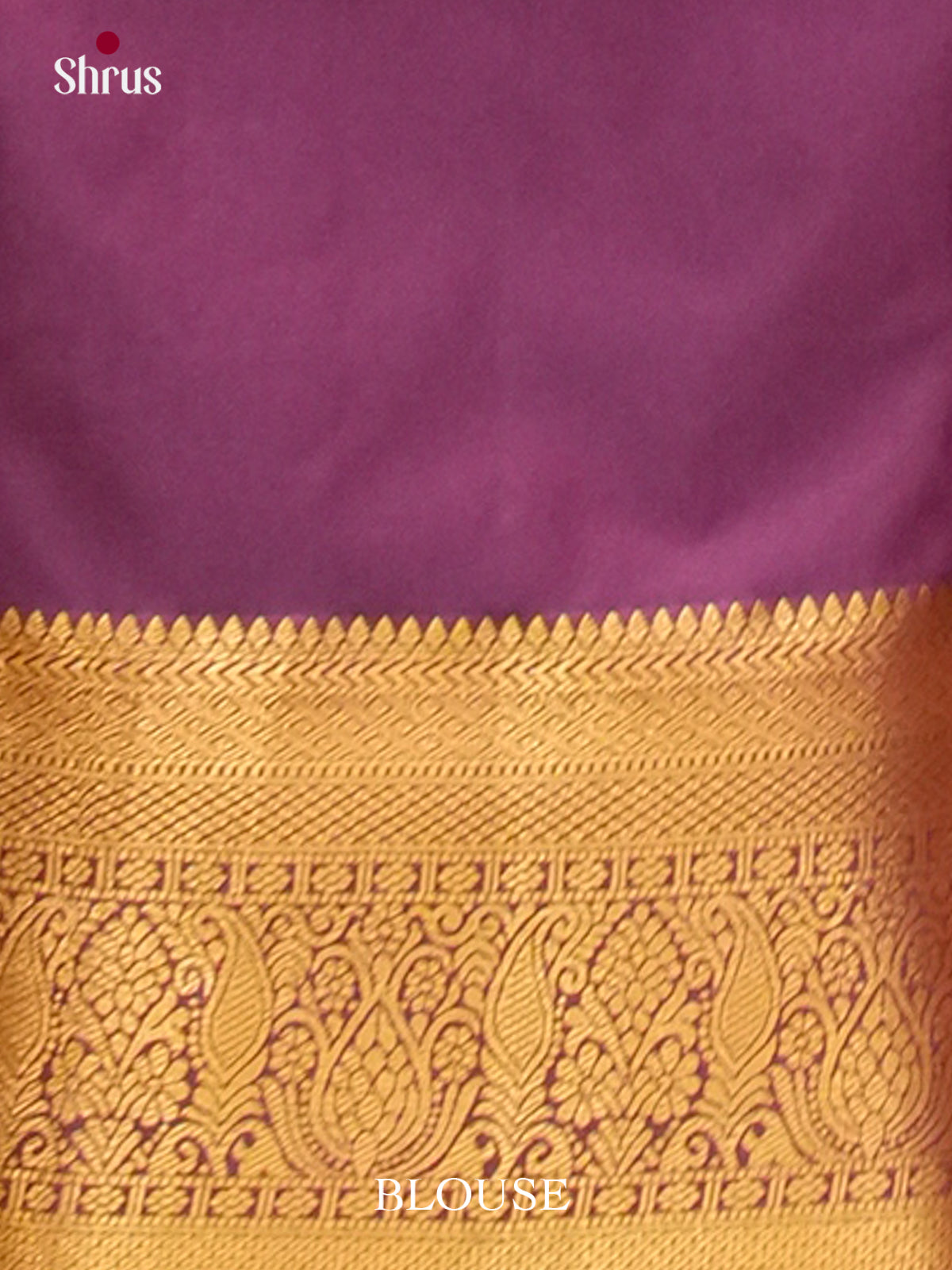 Kanchipuram-halfpure Saree - EH19017