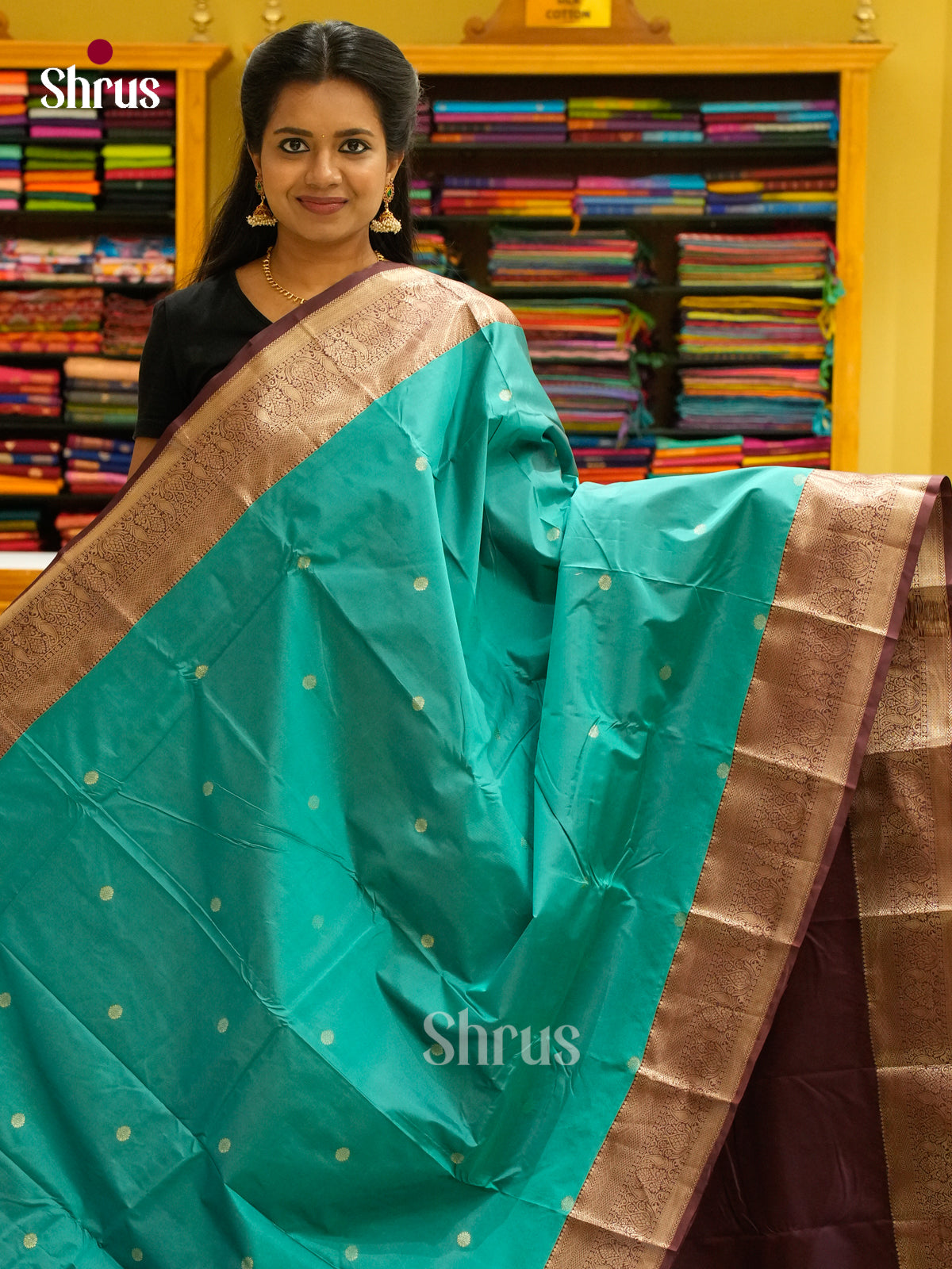Kanchipuram-halfpure Saree - EH19024