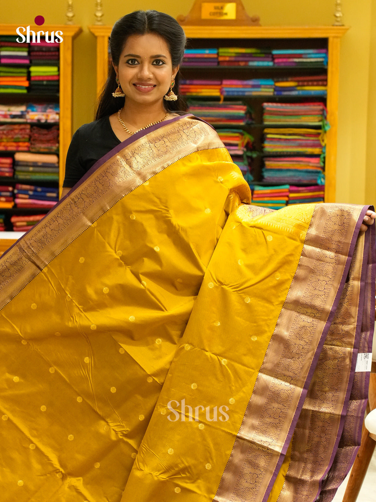 Kanchipuram-halfpure Saree - EH19043