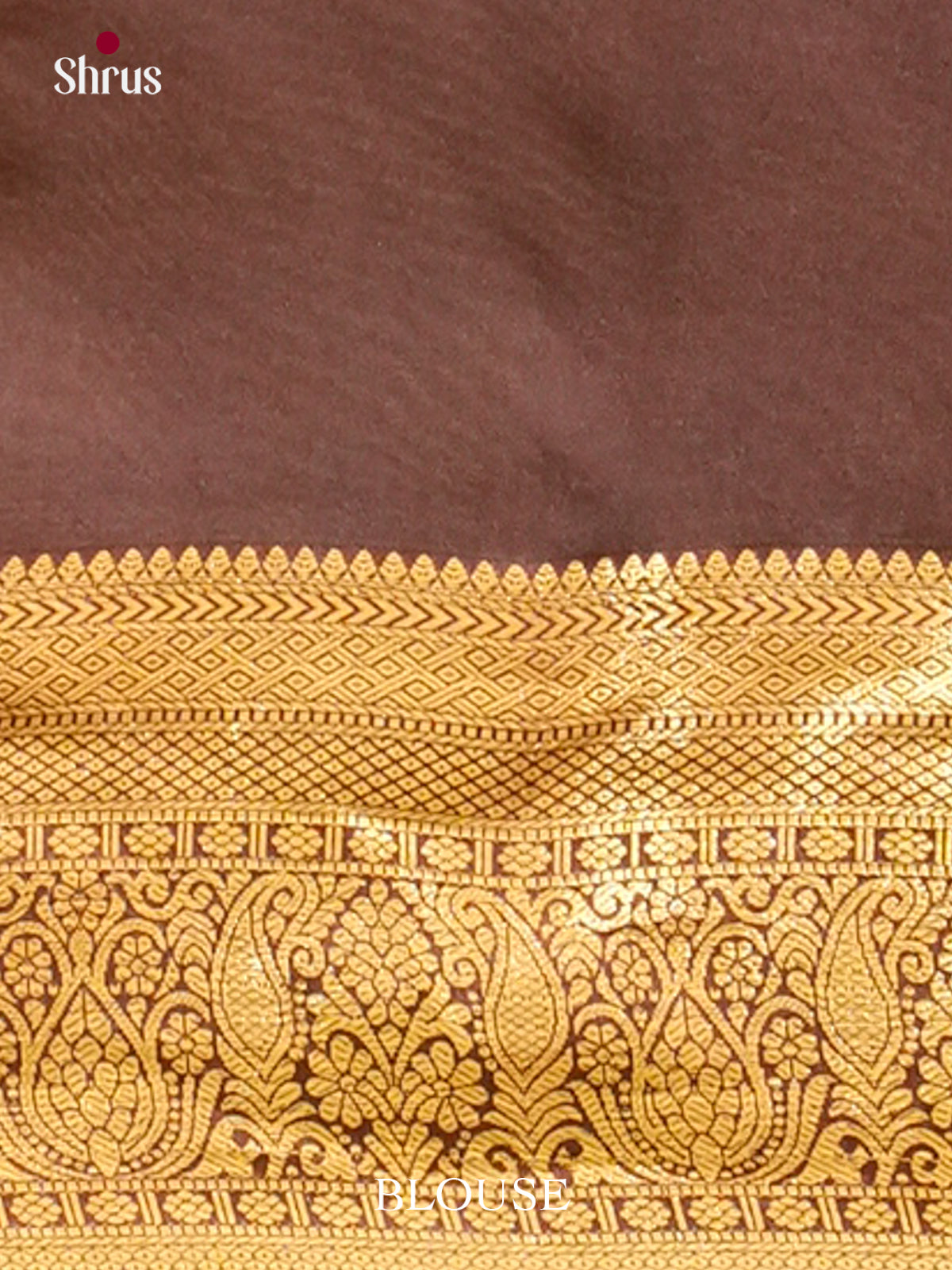 Kanchipuram-halfpure Saree - EH19044