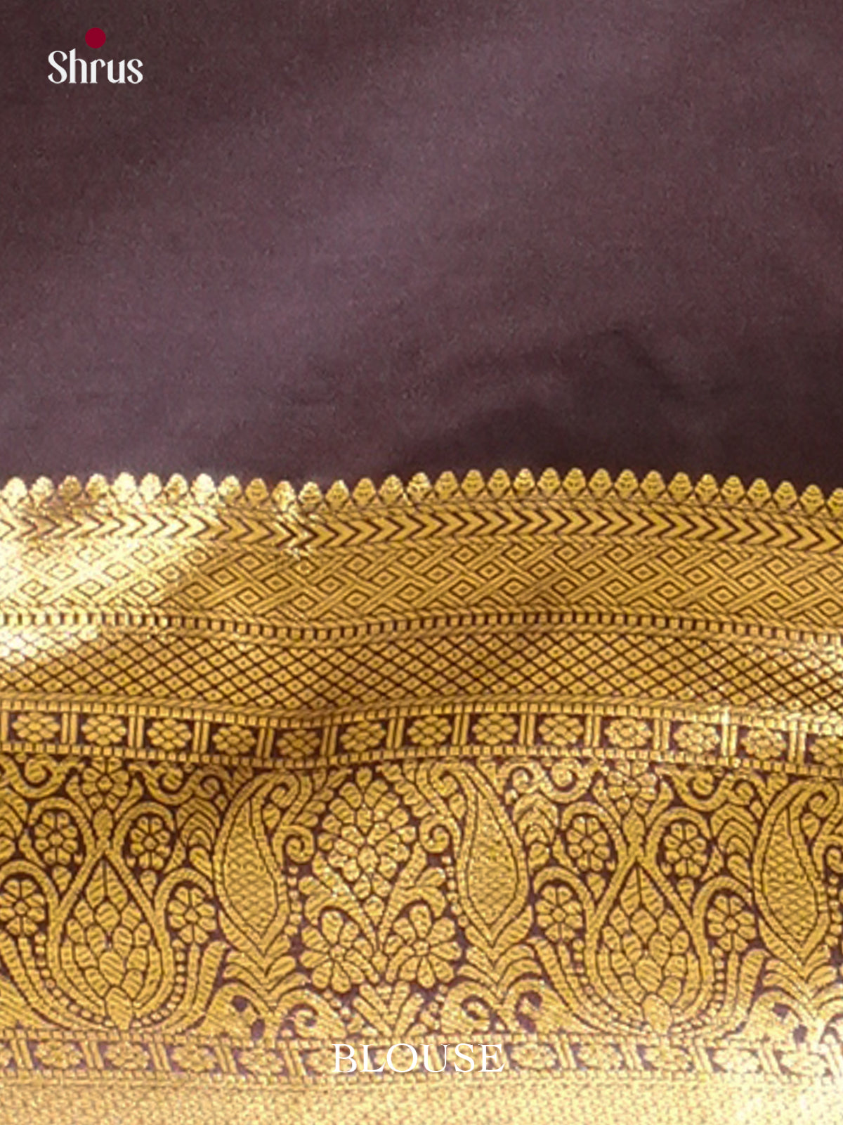 Kanchipuram-halfpure Saree - EH19048